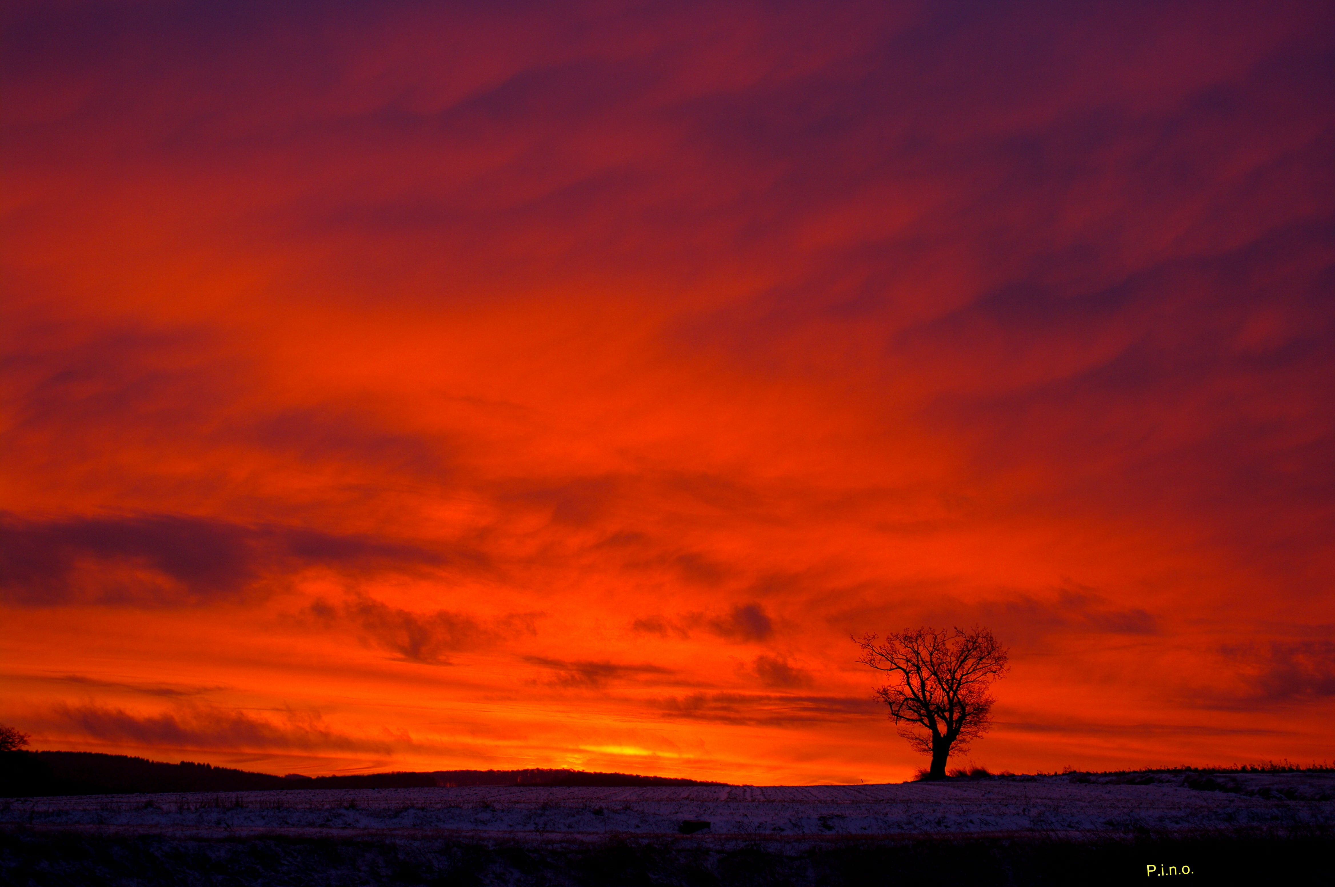 red, me  my, tree, outdoors, silhouette, premium, gear, landscape, 4K, sunset, cloud - Sky, sky, nature, dusk, sunrise  sunset, photography, Heaven, scenics, HD Wallpaper