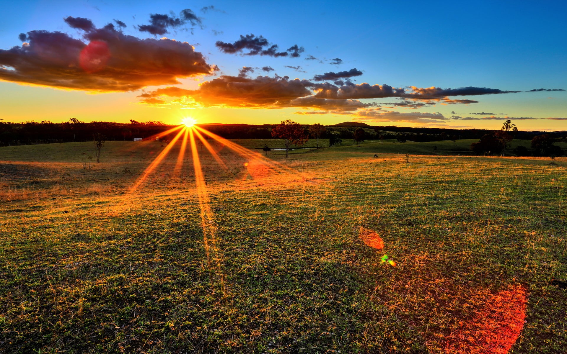tranquility, field, land, sunset, 1080P, plantation, scenics - nature, nature, no people, grass, plant, sun, sky, beauty in nature, landscape, agriculture, HD Wallpaper