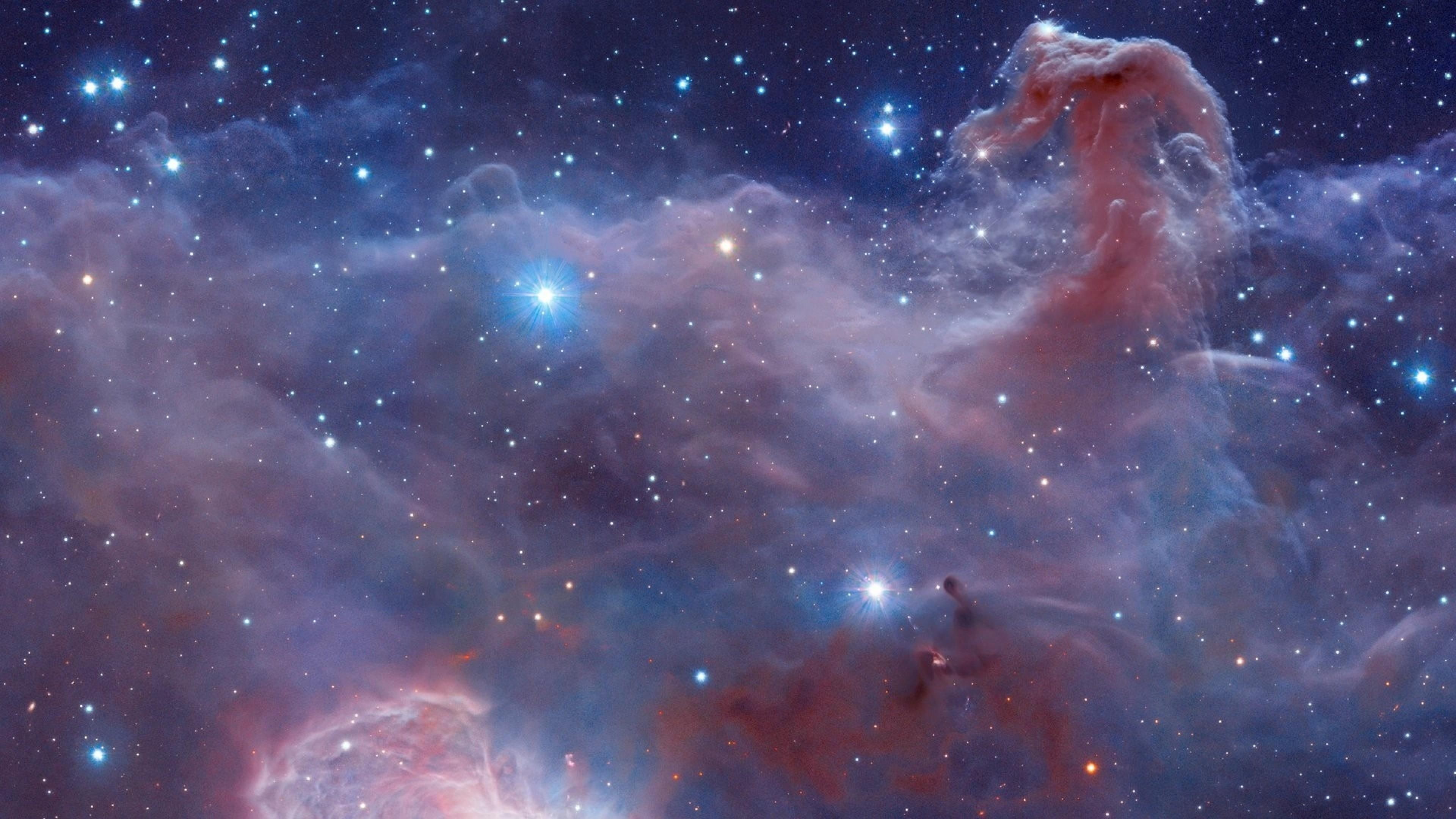 stars, starry, nebula, 4K, horsehead nebula, HD Wallpaper