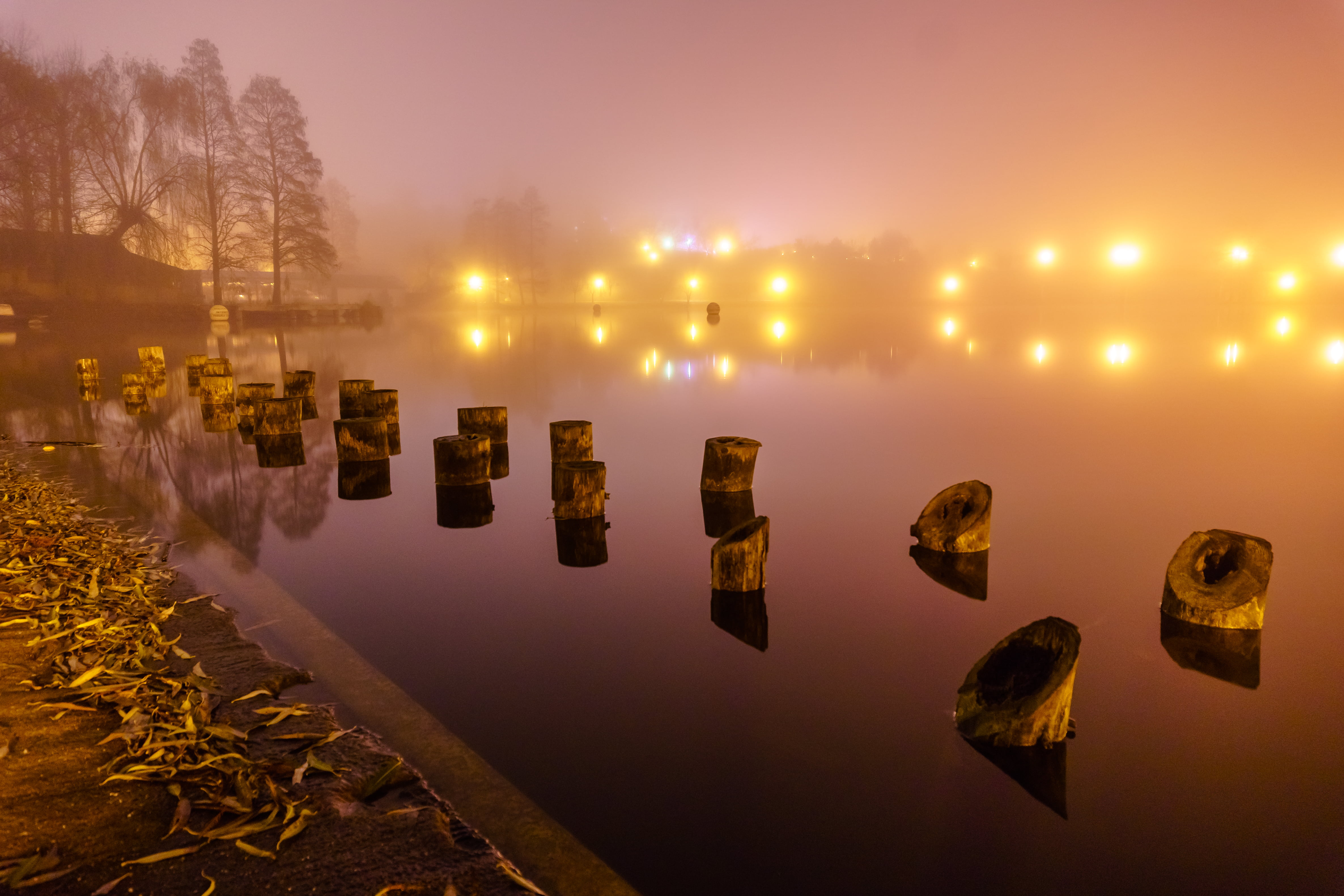 4K, fog, LE, nightime, m42, water, lake, brown, Carl  Zeiss  Jena, woods, bucharest, 35mm, WOW, Lights, f2.4, romania, night, BRILLIANT, HD Wallpaper