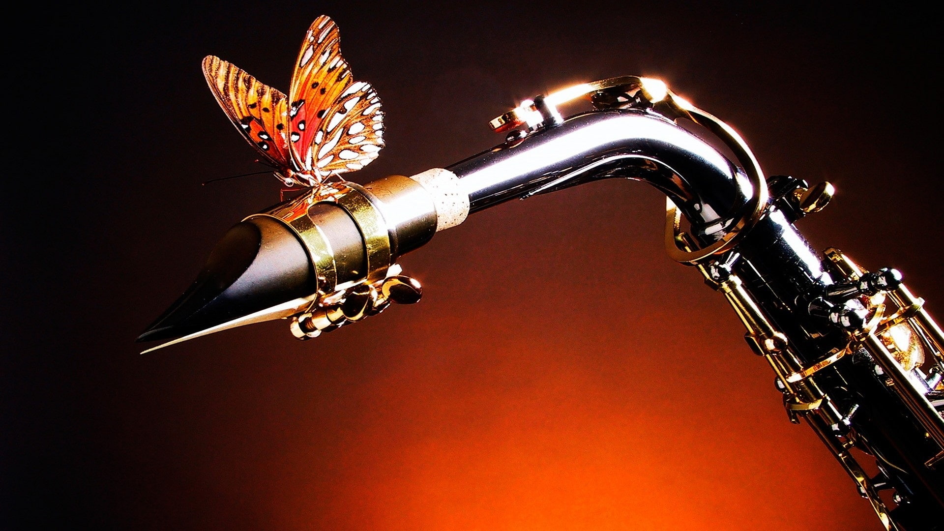 Butterfly, Theme, Saxophone, Music, 1080P, HD Wallpaper