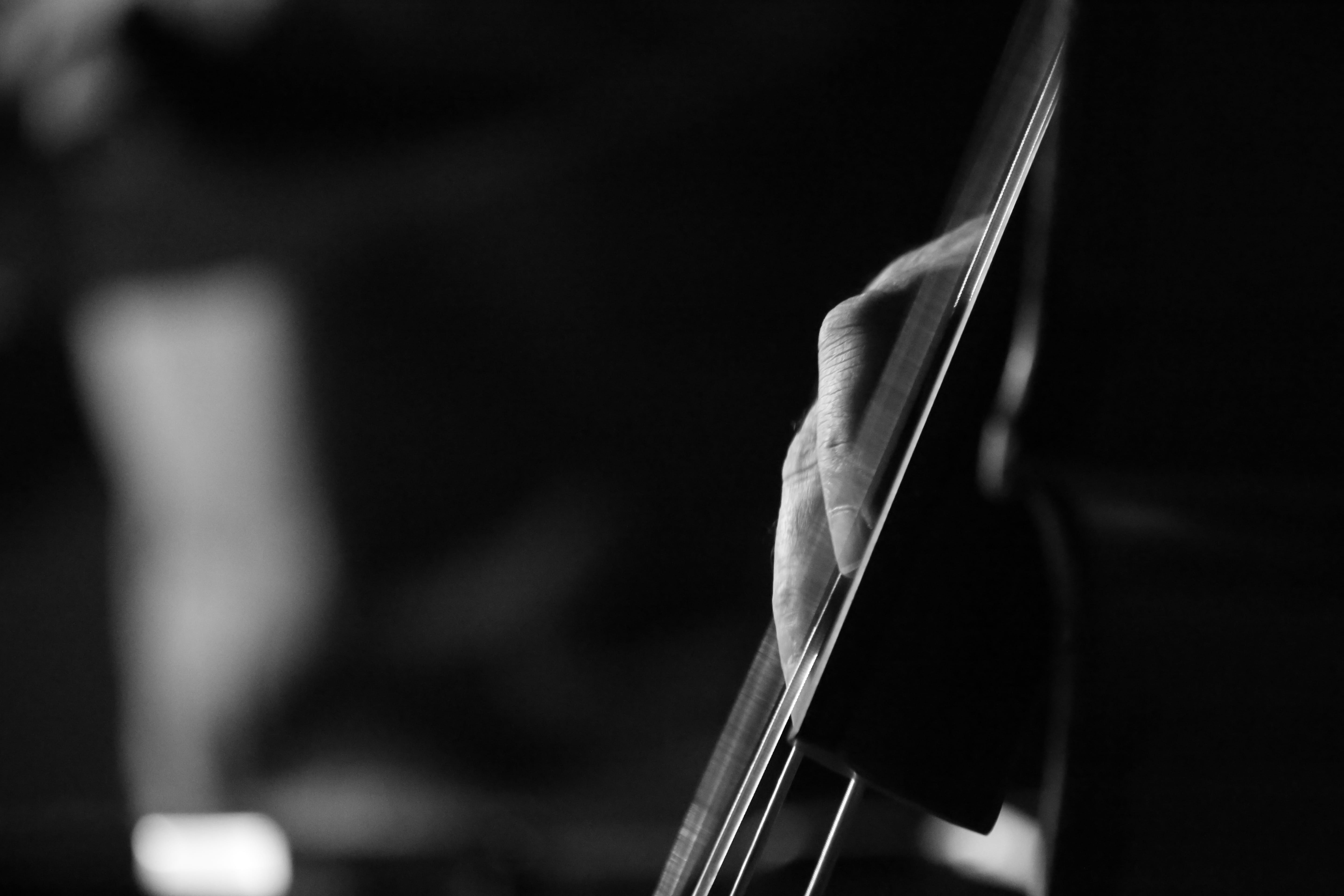 string instrument, musical instrument string, skill, musician, jazz, italy, close-up, voghera, performance, arts culture and entertainment, artist, holding, HD Wallpaper