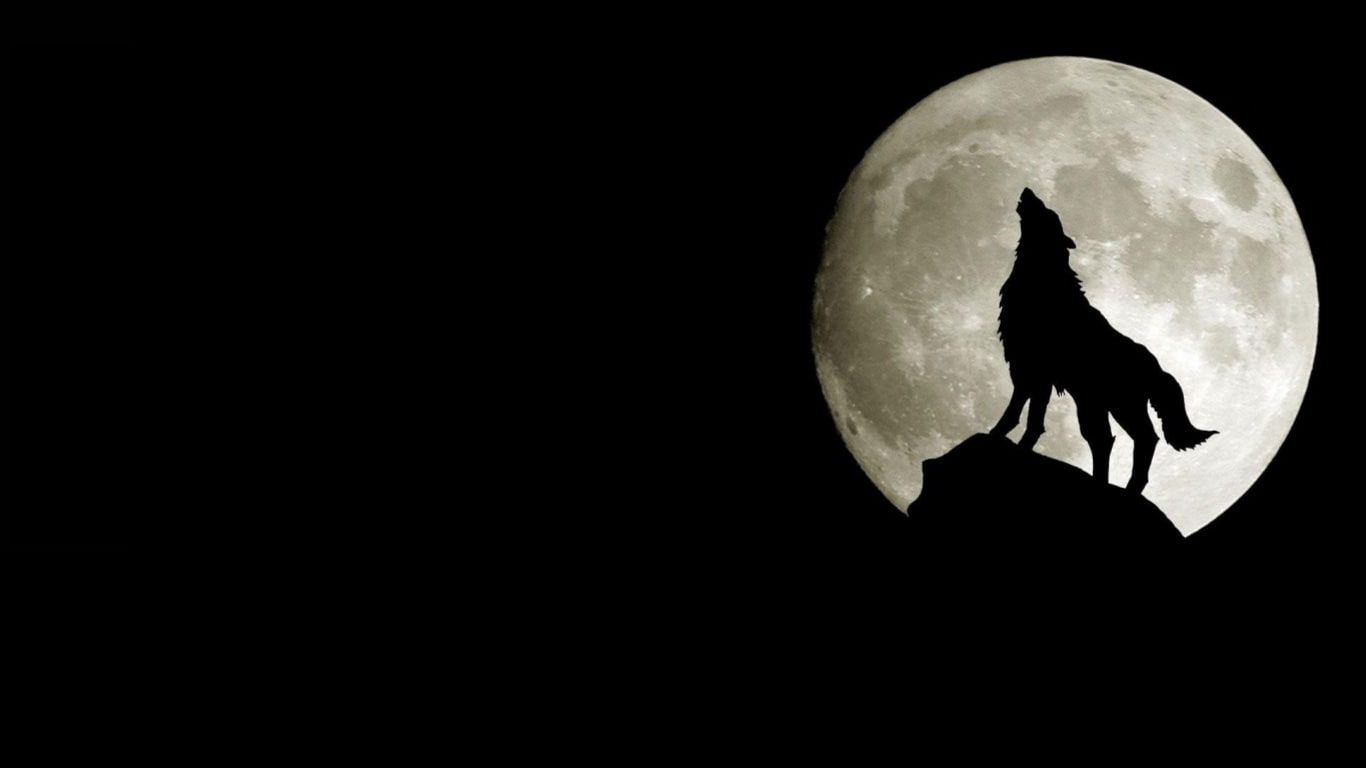 animals, hd, wolves, space, x, art, Moon, moons, wolf, 720P, HD Wallpaper