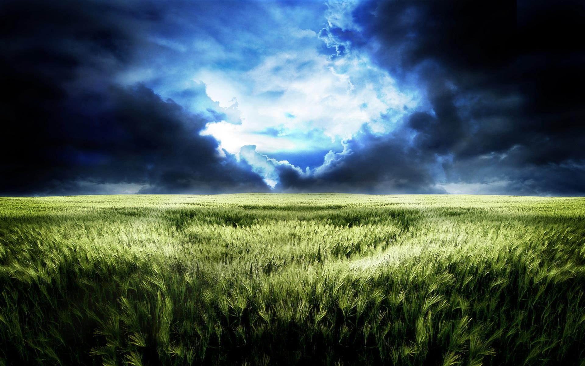 fields, 1080P, Dream, Wheat, endless, World, Scenery, HD Wallpaper