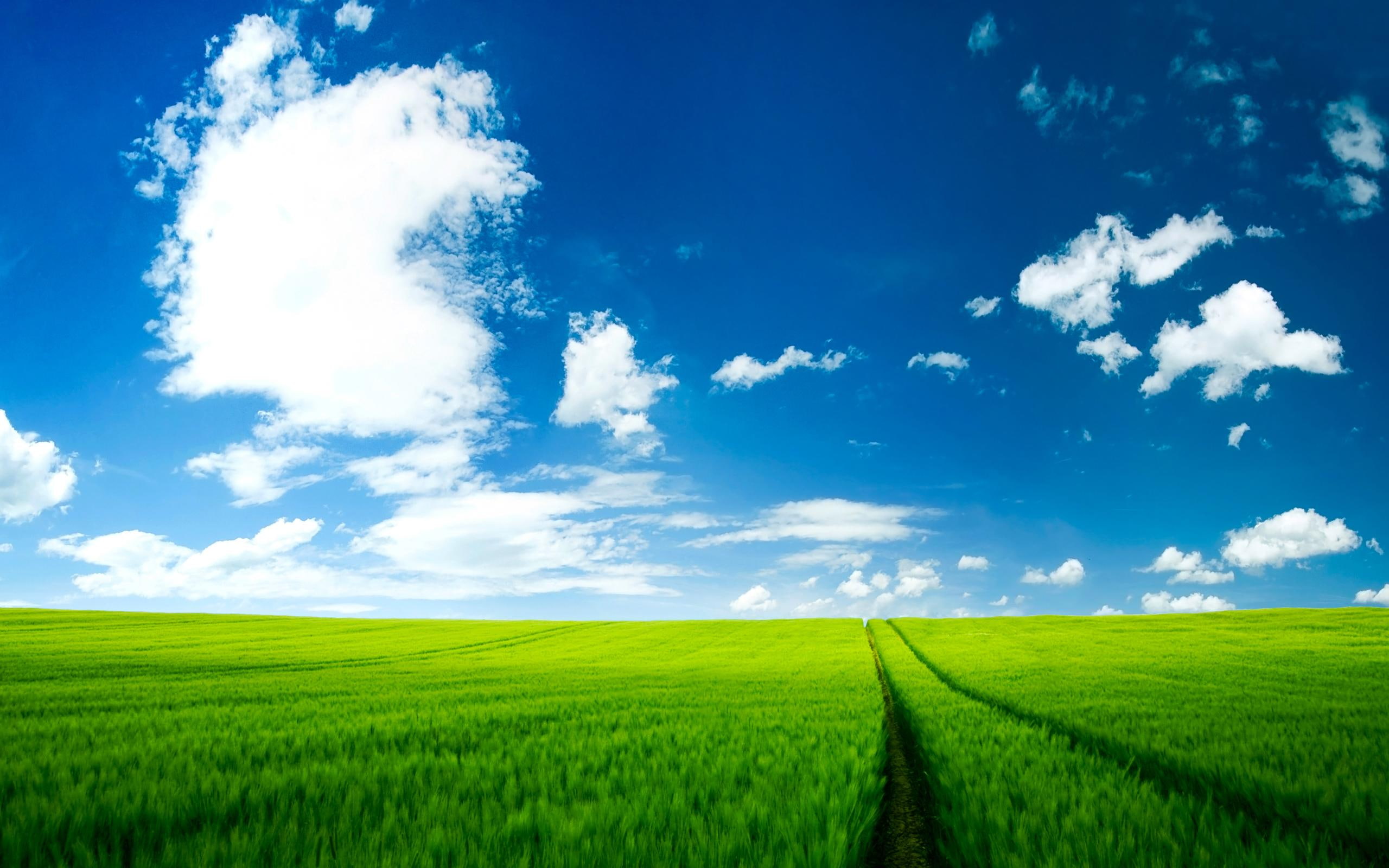 nature and landscape, summer, scenery, 2K, HD Wallpaper