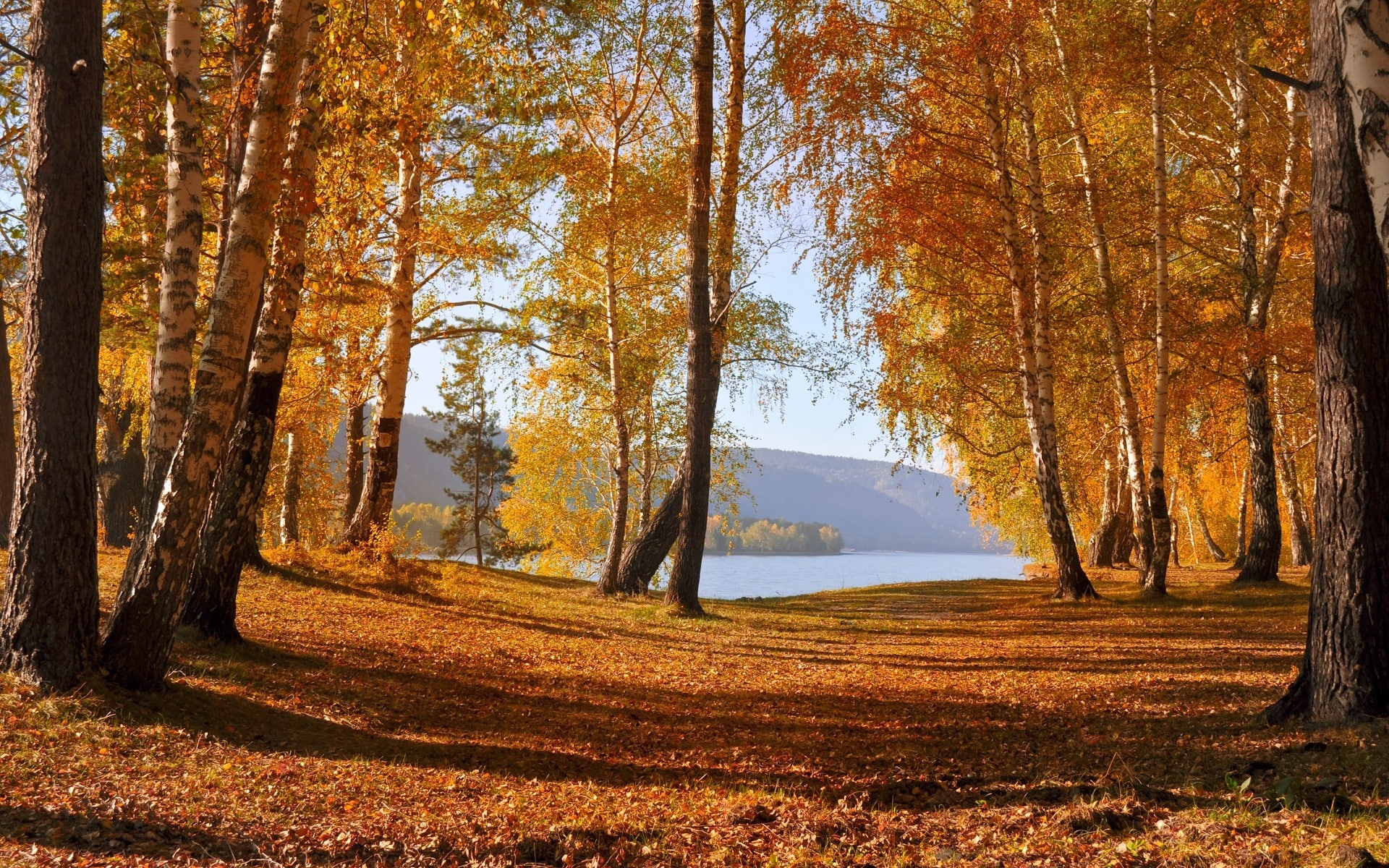 Nature, body, Yellow, Leaves, water, Mountains, Scenery, Lake, Trees, photo, 1080P, near, Autumn, HD Wallpaper