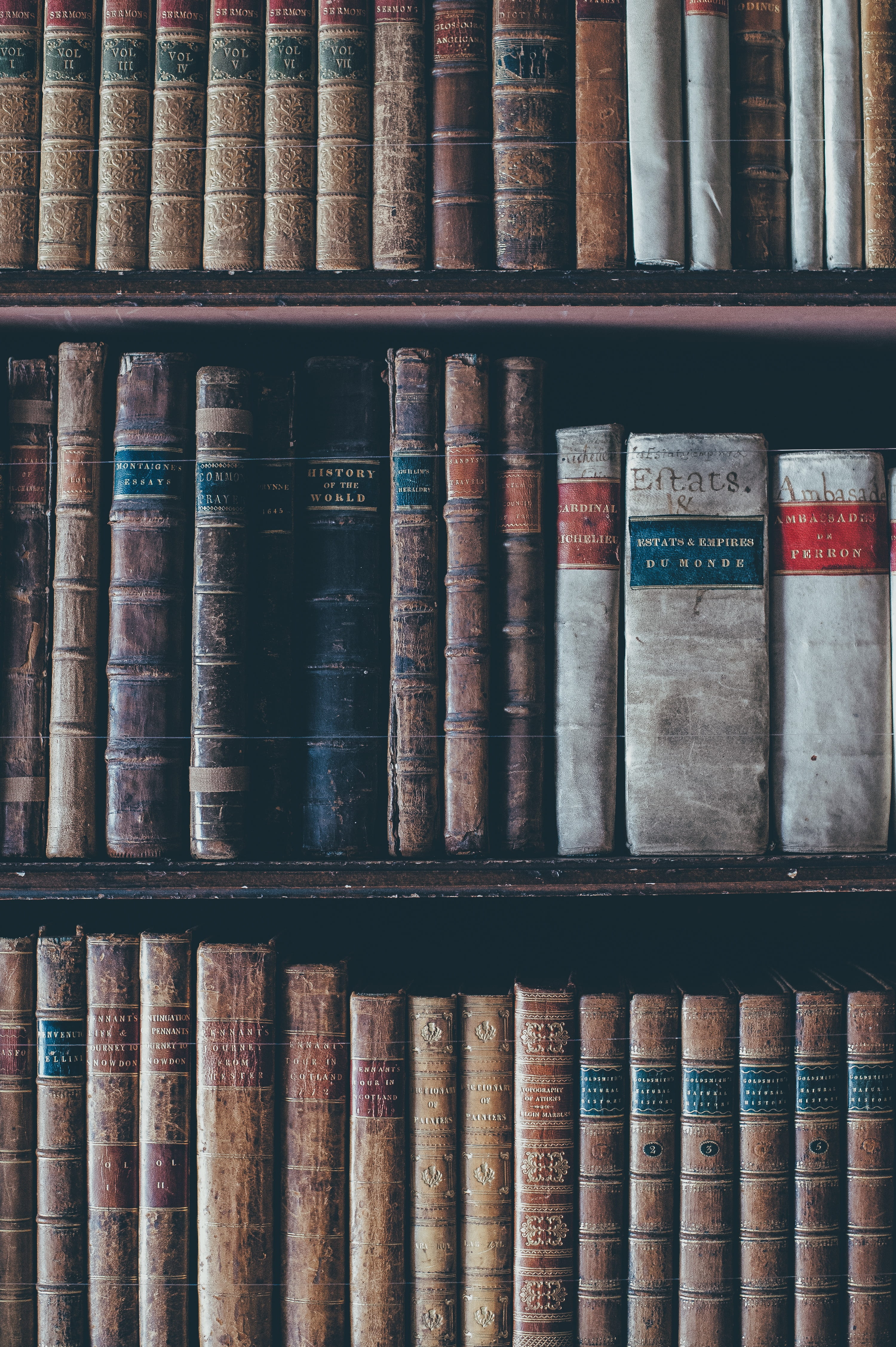 information Medium, education, gray, bookshelf, still life, university, old-fashioned, black, in A Row, textbook, choice, books, indoors, brown, reading, Phone HD Wallpaper