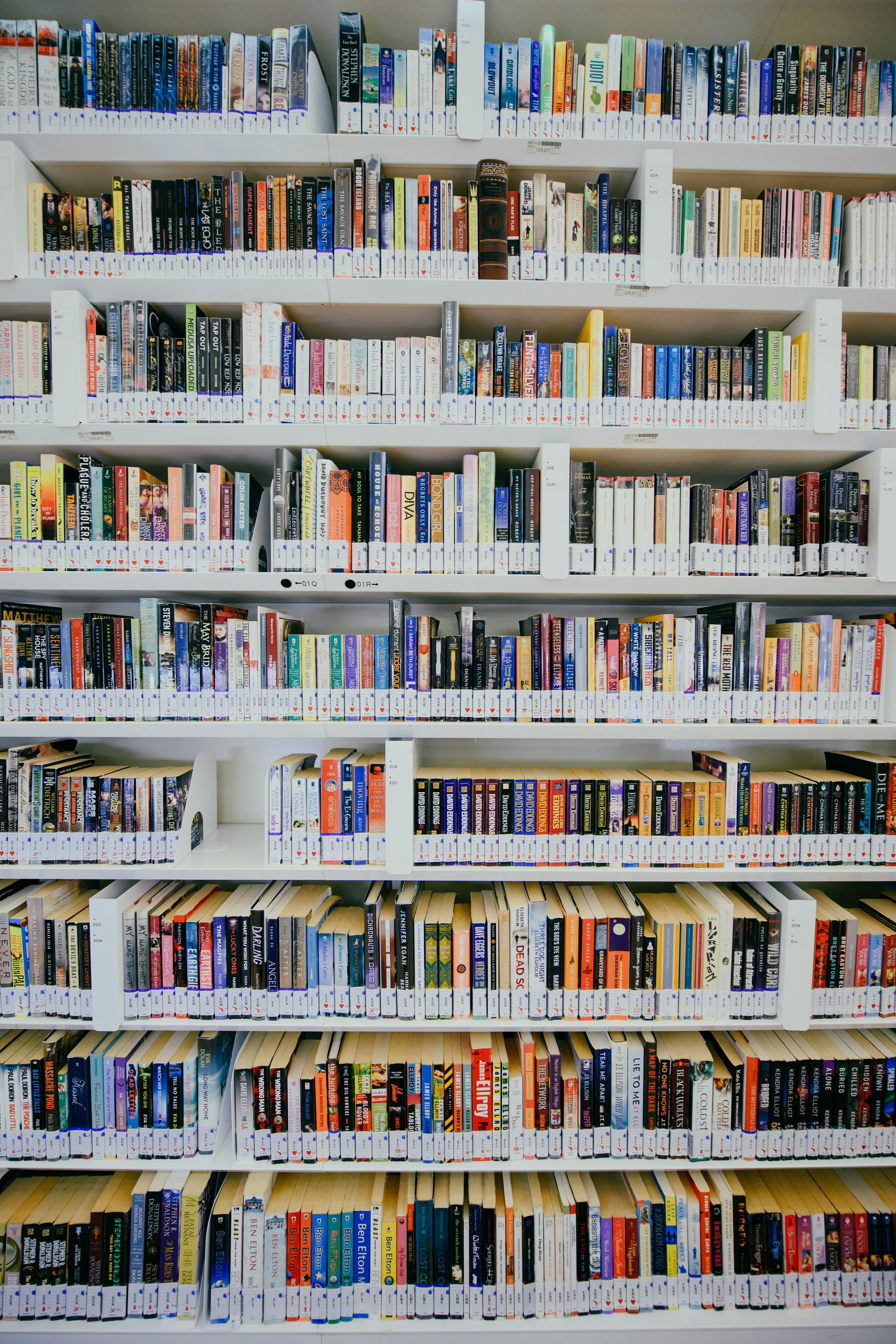 variation, electronics, kindergarten, arrangement, book, large group of objects, no people, assorted, furniture, education, bookstore, abundance, indoors, Phone HD Wallpaper