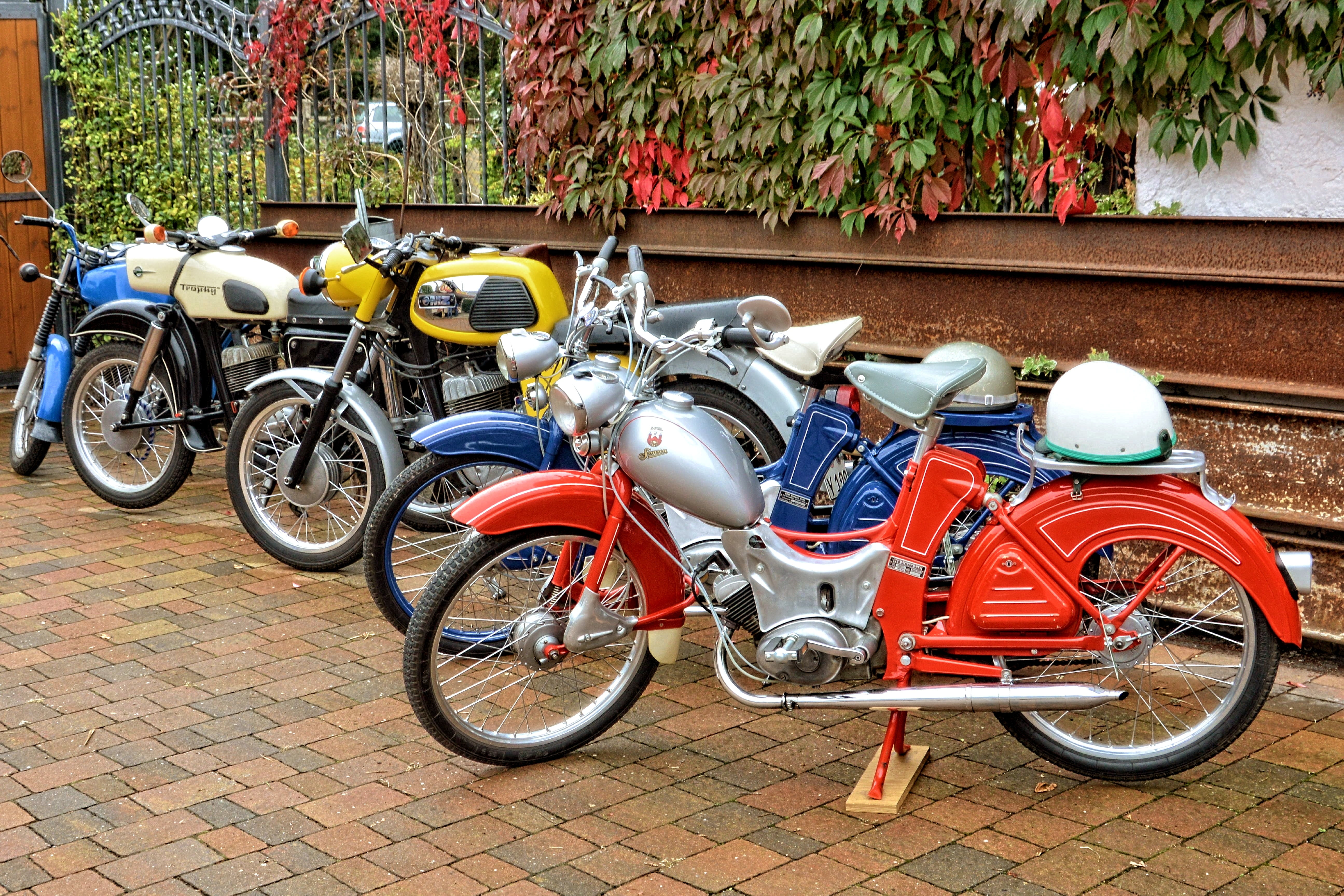 5K, tree, moped, land vehicle, nature, bicycle, no people, two wheeled vehicle, simpson, ifa, day, oldtimer, outdoors, motorcycles, plant, city, street, HD Wallpaper