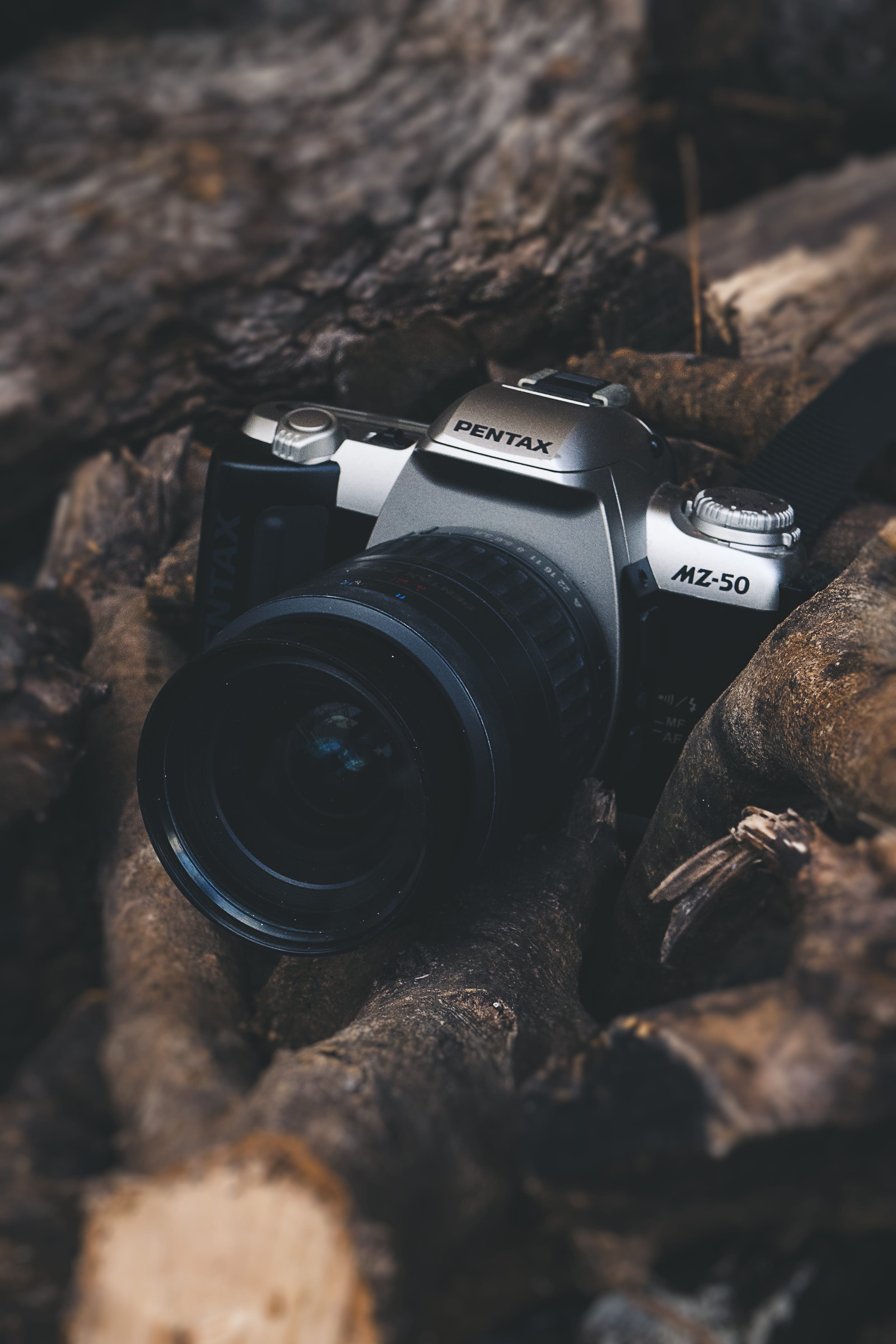 single object, vintage, firewood, camera, slr camera, photographing, technology, day, tree, black, digital camera, years, brown, lens - optical instrument, Phone HD Wallpaper