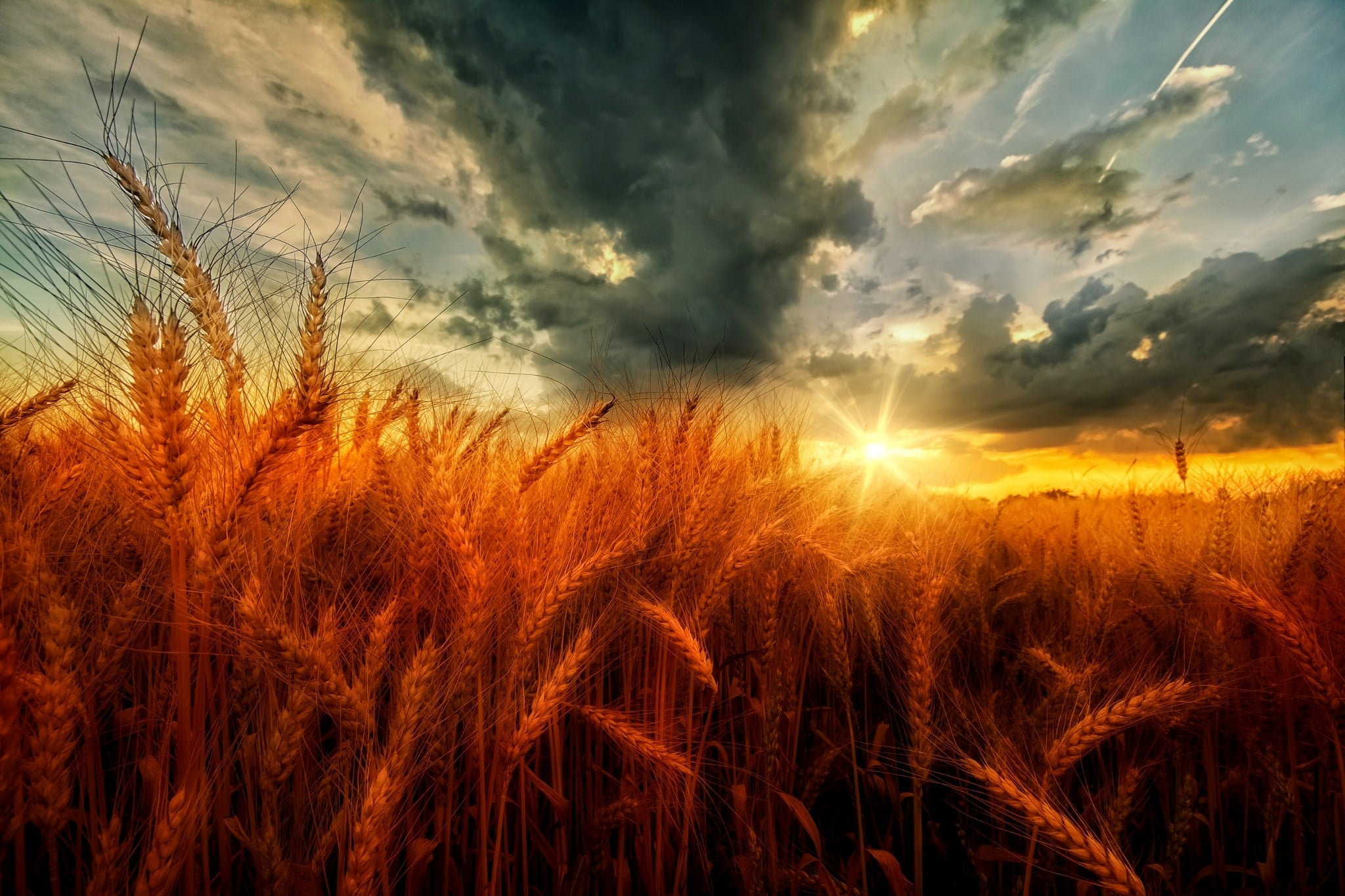 no people, tranquil scene, outdoors, agriculture, land, beauty in nature, nature, tranquility, cloud - sky, clouds, field, farm, landscape, sky, plant, HD Wallpaper