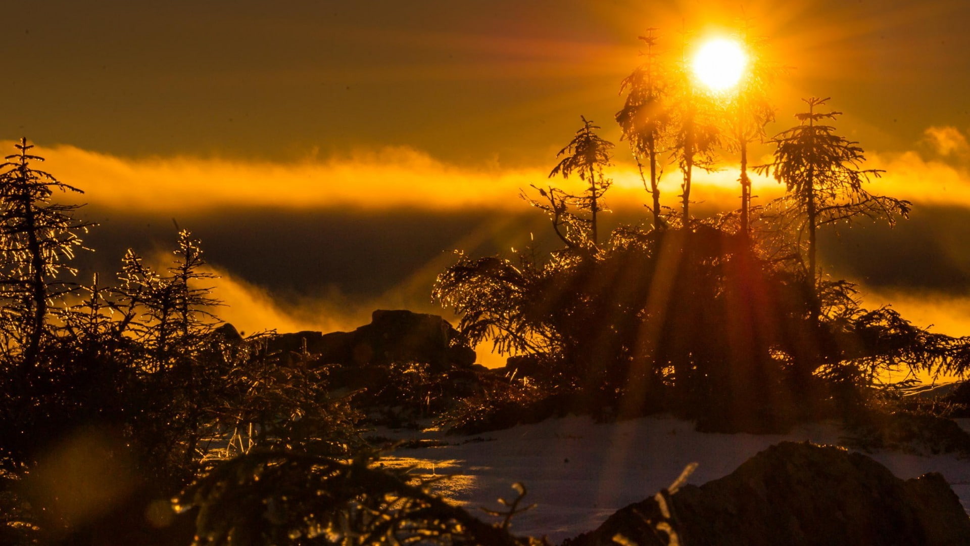 landscape, Sun, sun rays, trees, 1080P, HD Wallpaper