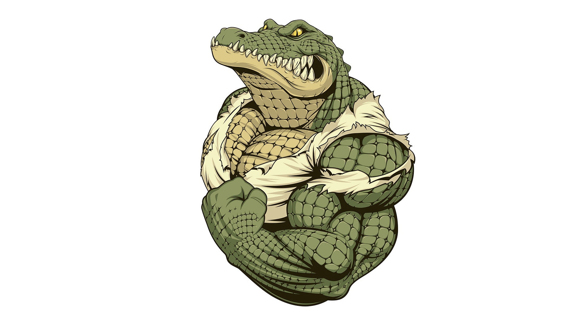 1080P, animal, leather, white background, creativity, vertebrate, ornate, animal representation, pattern, representation, crocodile, animal wildlife, turtle, HD Wallpaper