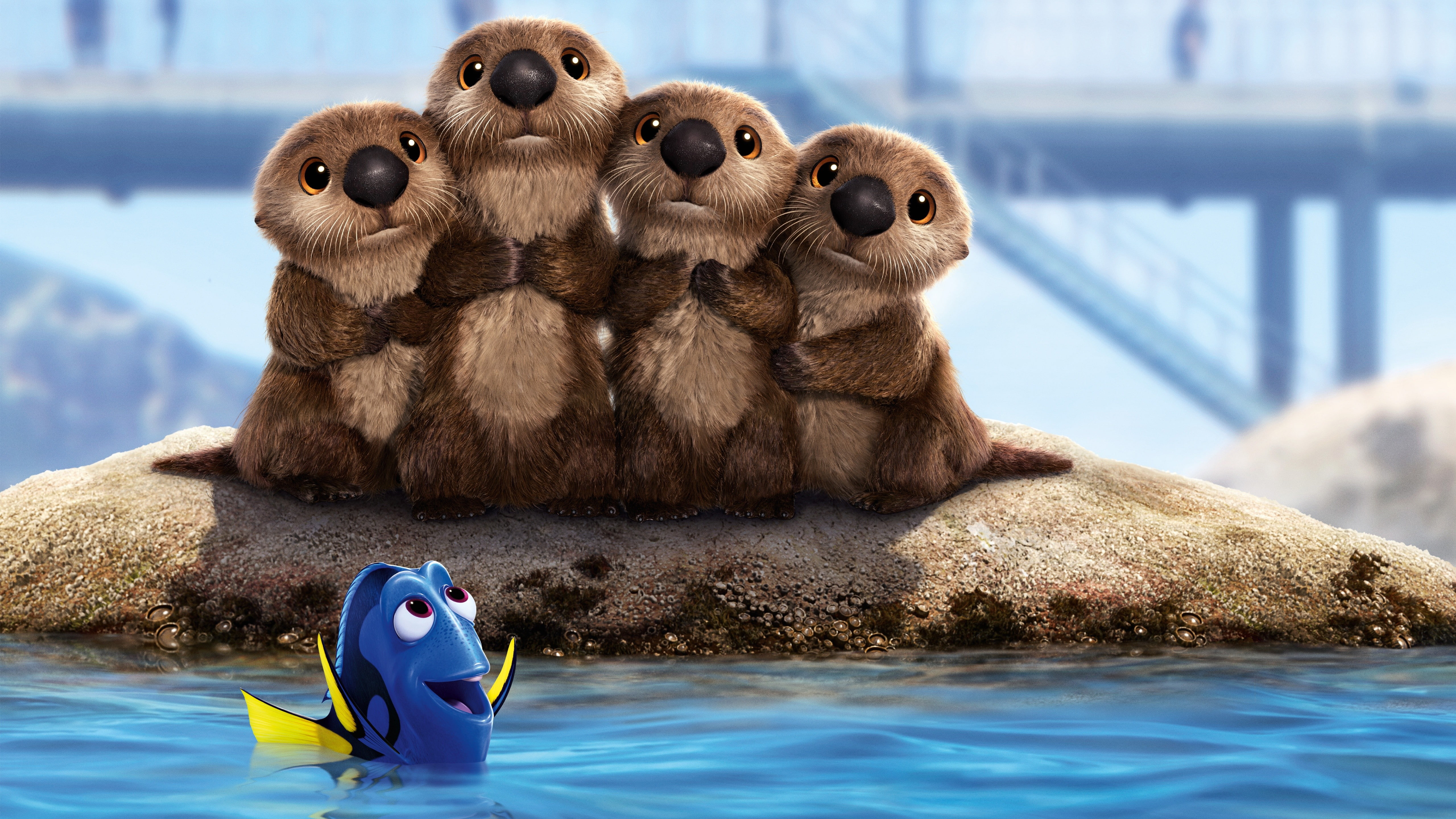 animation, finding, dory, beavers, 5K, fish, movie, Finding Dory, nemo, HD Wallpaper