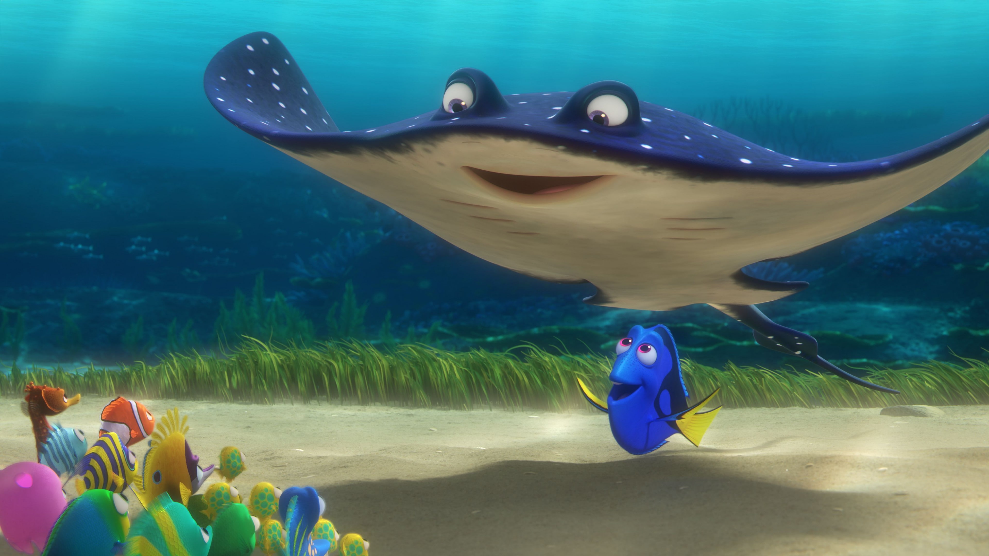  finding, nemo, Finding Dory, digital, Pixar, animation, setting, dory, 4K, ramp, underwater, fish, HD Wallpaper
