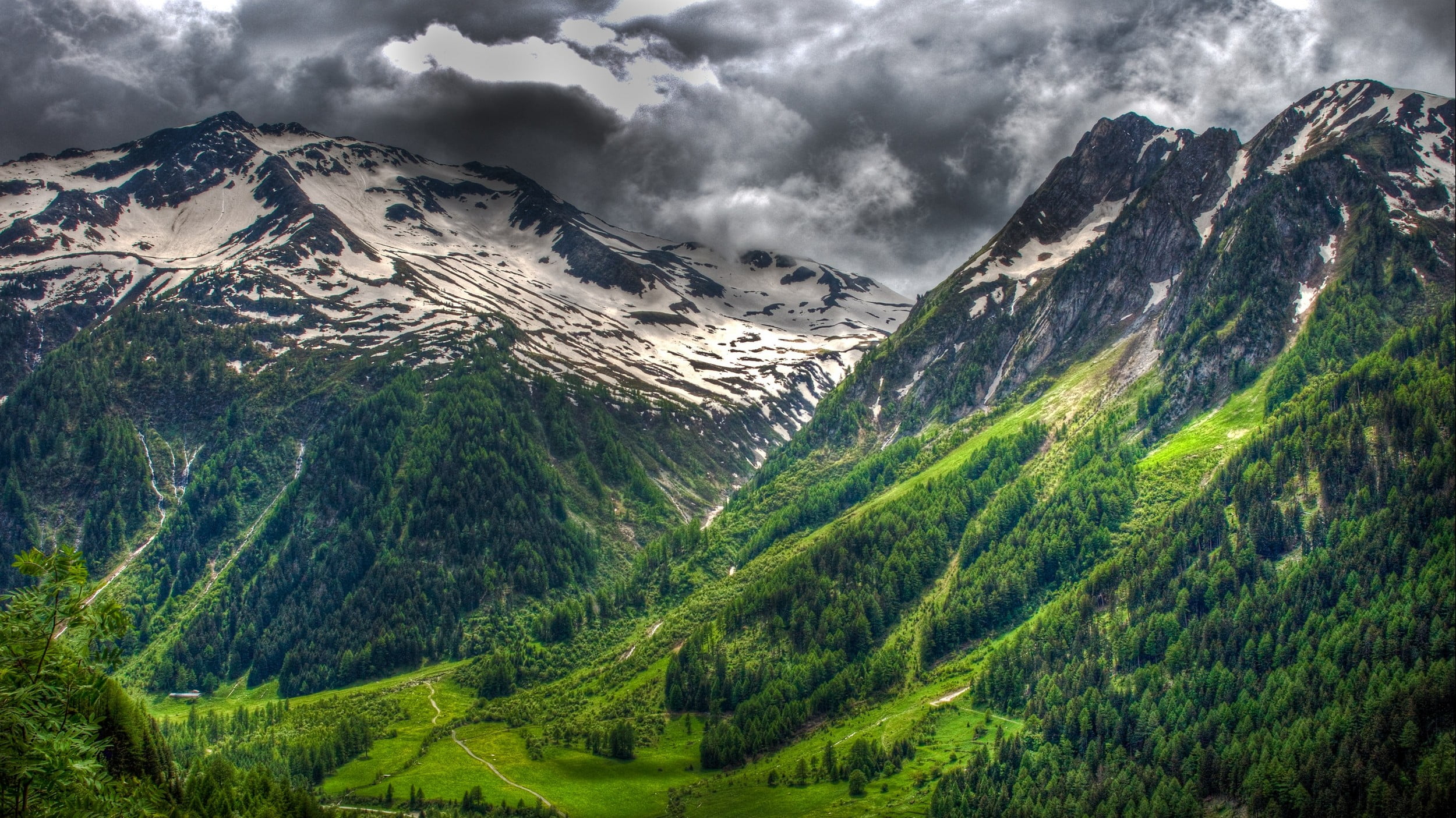 no people, coniferous tree, pine woodland, forest, tree, mountain peak, snowy peak, spring, white, clouds, scenics - nature, Swiss Alps, mountain range, HD Wallpaper