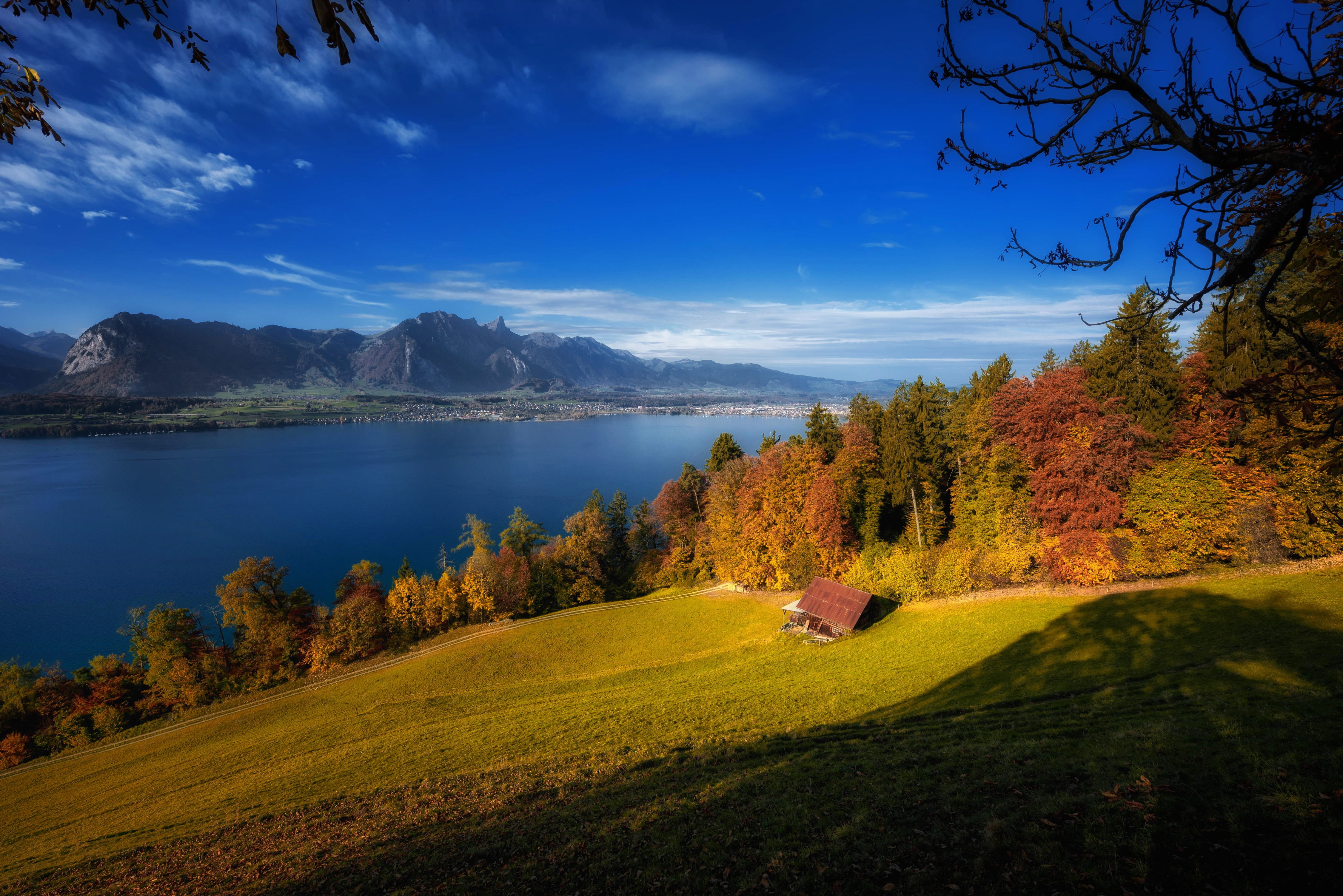 scenics - nature, cloud - sky, autumn, plant, tree, 4K, tranquil scene, sky, green, Bernese Alps, Lake Thun, water, mountains, The Bernese Alps, tranquility, HD Wallpaper