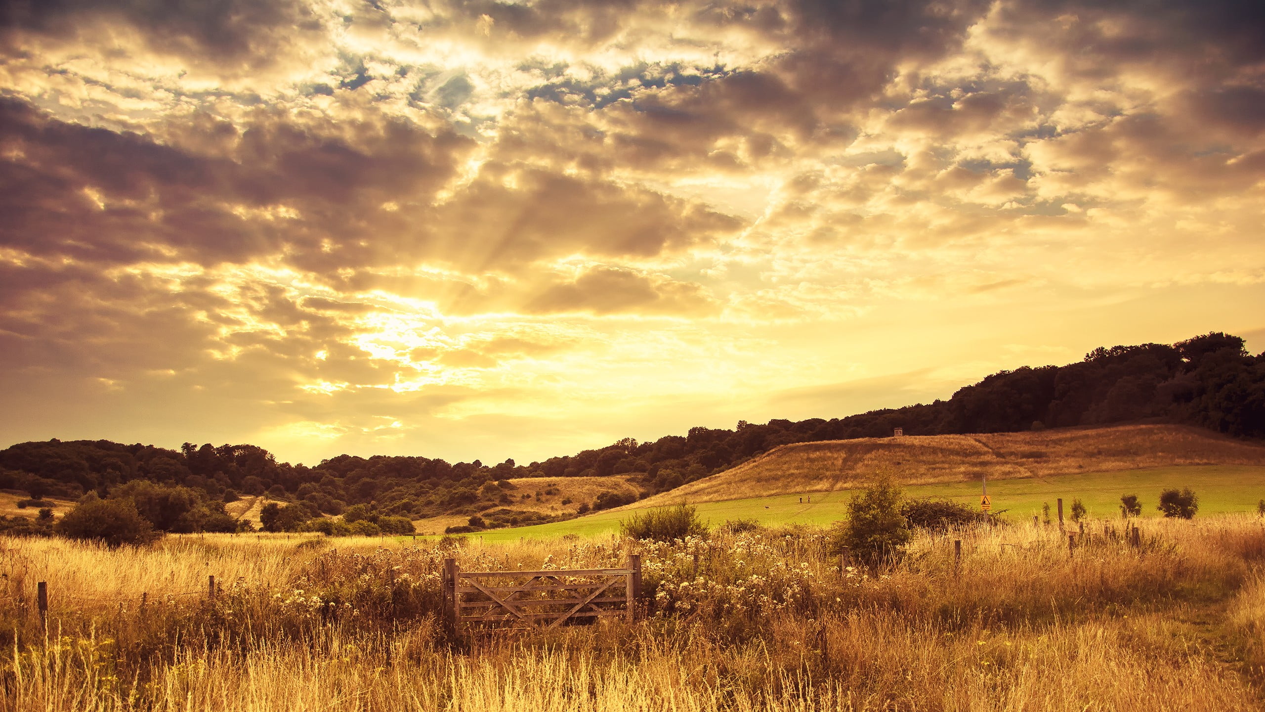 dawn, cloud - Sky, plant, tree, season, light - Natural Phenomenon, brown, cloudscape, land, rural Scene, sunlight, tranquil Scene, grass, field, green Color, HD Wallpaper