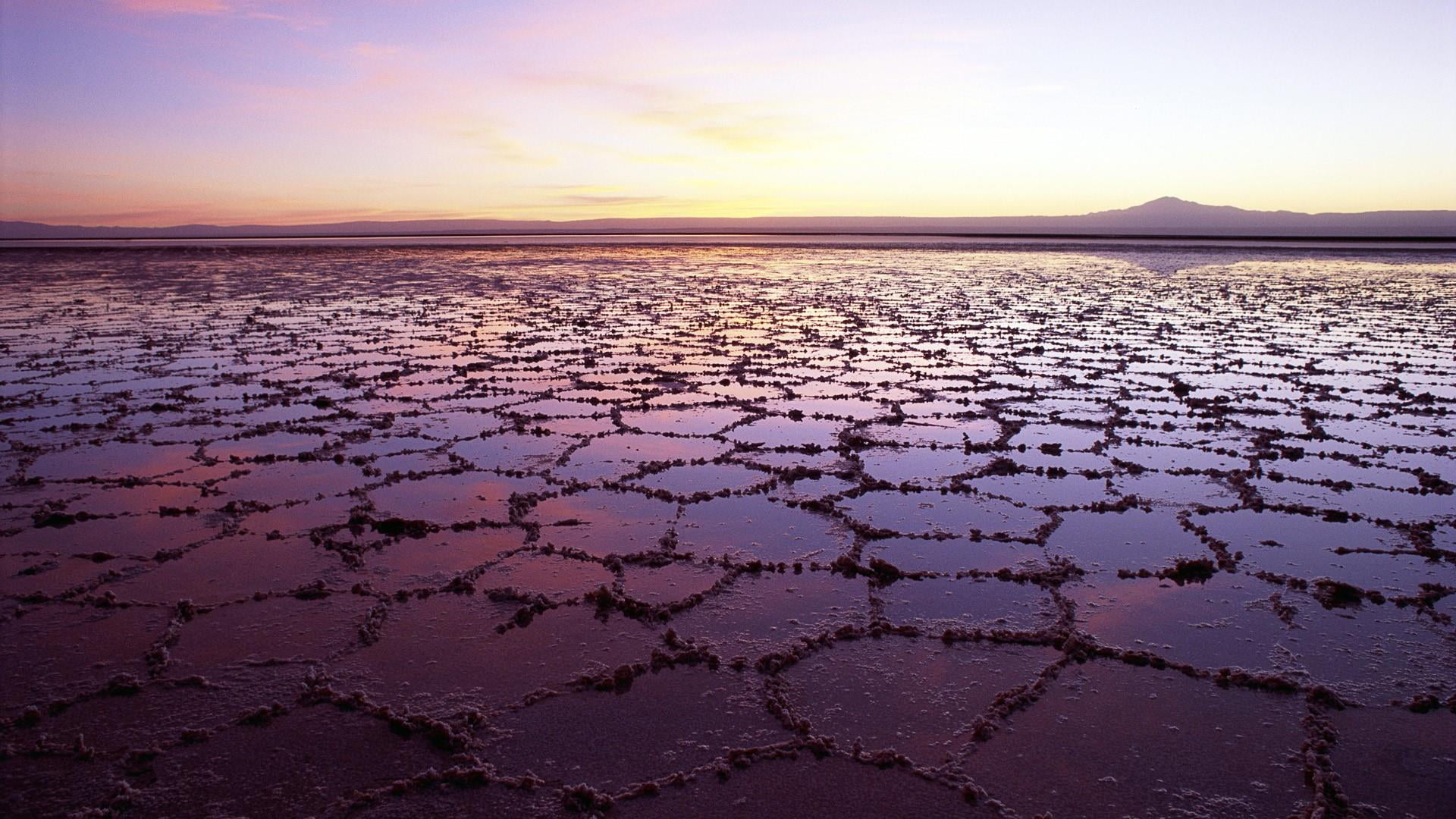 no people, mineral, beauty in nature, outdoors, salt lake, sunset, calm, morning, chile, drought, scenics - nature, wetland, horizon over water, sky, cracked, HD Wallpaper