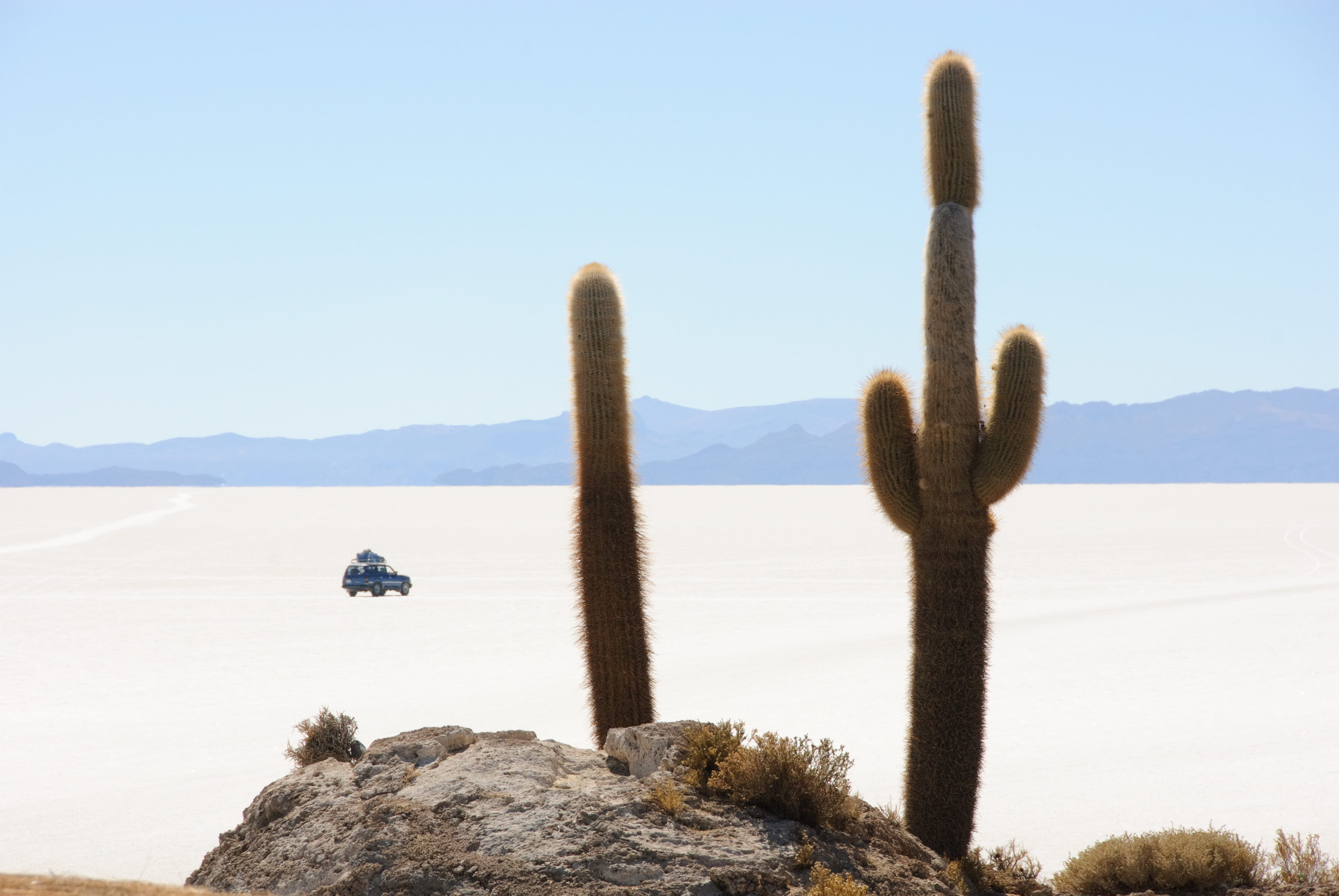 rock, day, cacti, desert, remote, scenics - nature, cactus, 4K, sky, clear sky, arid climate, non-urban scene, beauty in nature, environment, road trip, HD Wallpaper