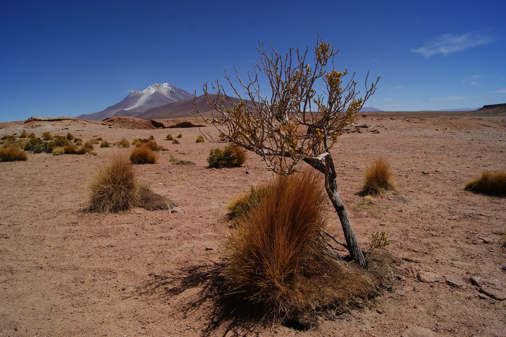 Bolivia, drought, scenics - nature, uyuni, semi-arid, mountain, no people, remote, nature, arid climate, trip, salar, 1080P, climate, sky, land, sand, HD Wallpaper