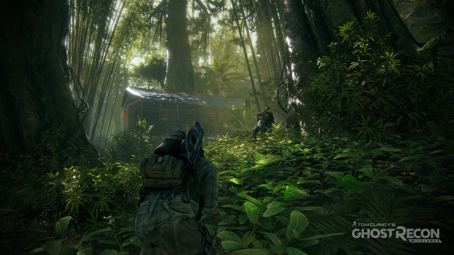 land, adult, Tom Clancys Ghost Recon: Wildlands, women, rainforest, adventure, lifestyles, real people, green color, jungle, woodland, forest, beauty in nature, HD Wallpaper