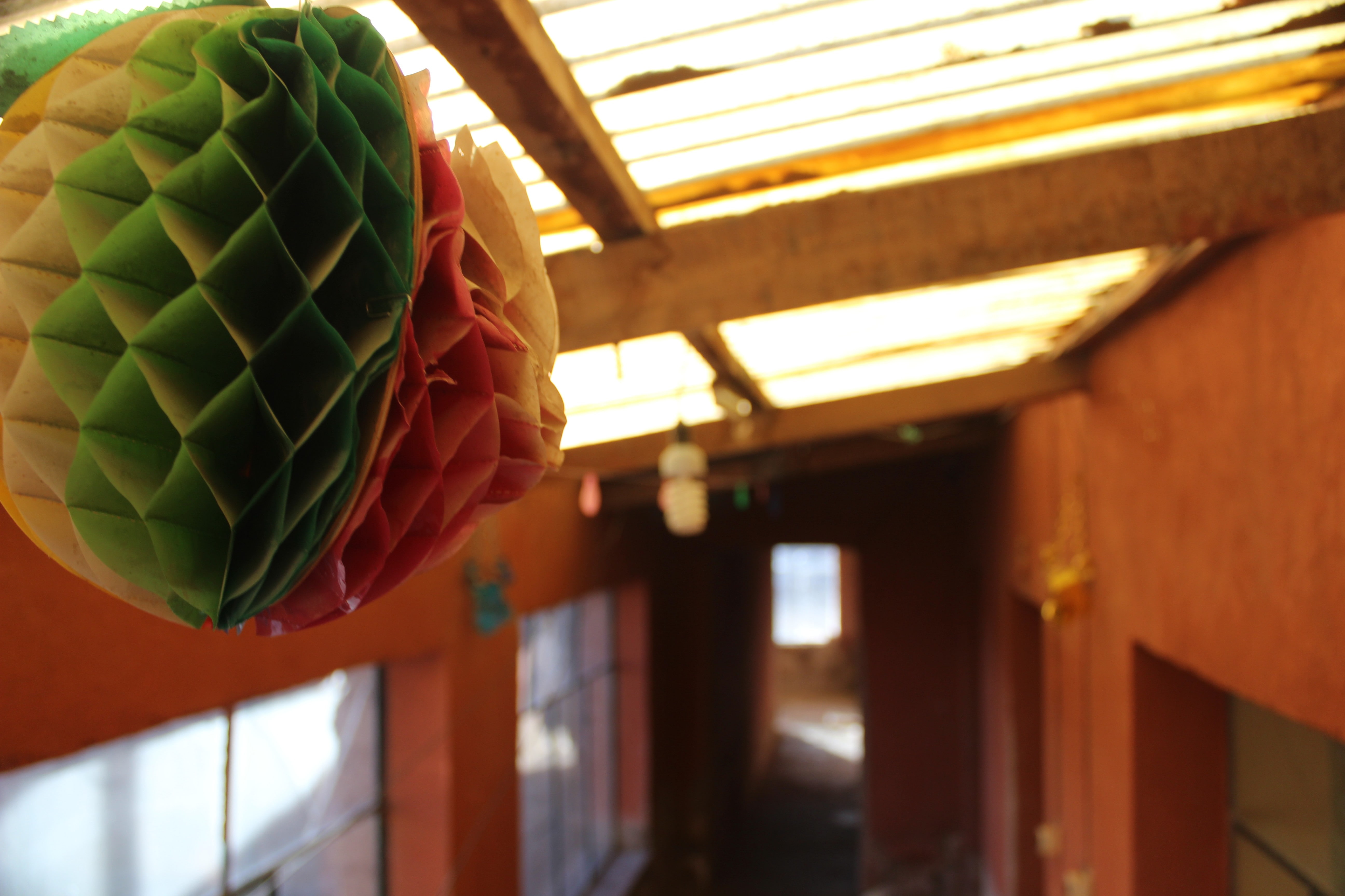 decoration, Bolivia, focus on foreground, pattern, day, built structure, nature, table, colorful, sunlight, no people, indoors, green color, close-up, 5K, HD Wallpaper