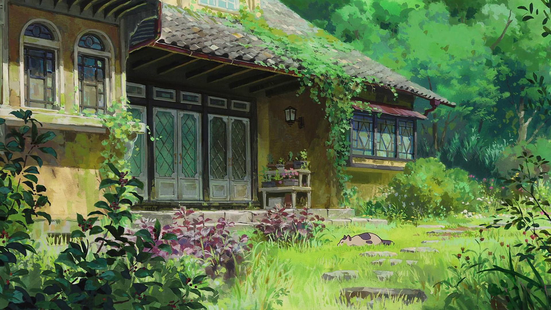 cat, 1080P, house, white flowers, Karigurashi no Arrietty, HD Wallpaper
