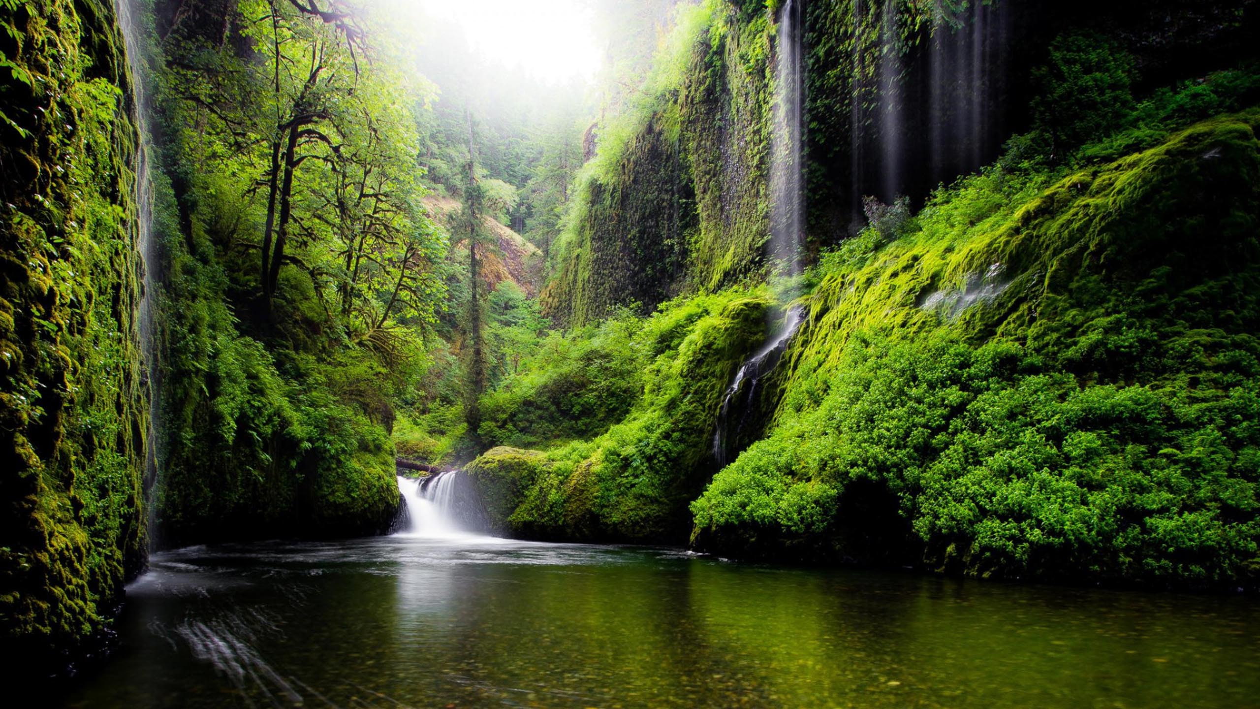 2K, nature, landscape, usa, river, water, trees, oregon, foliage, spring, waterfall, desktop, HD Wallpaper