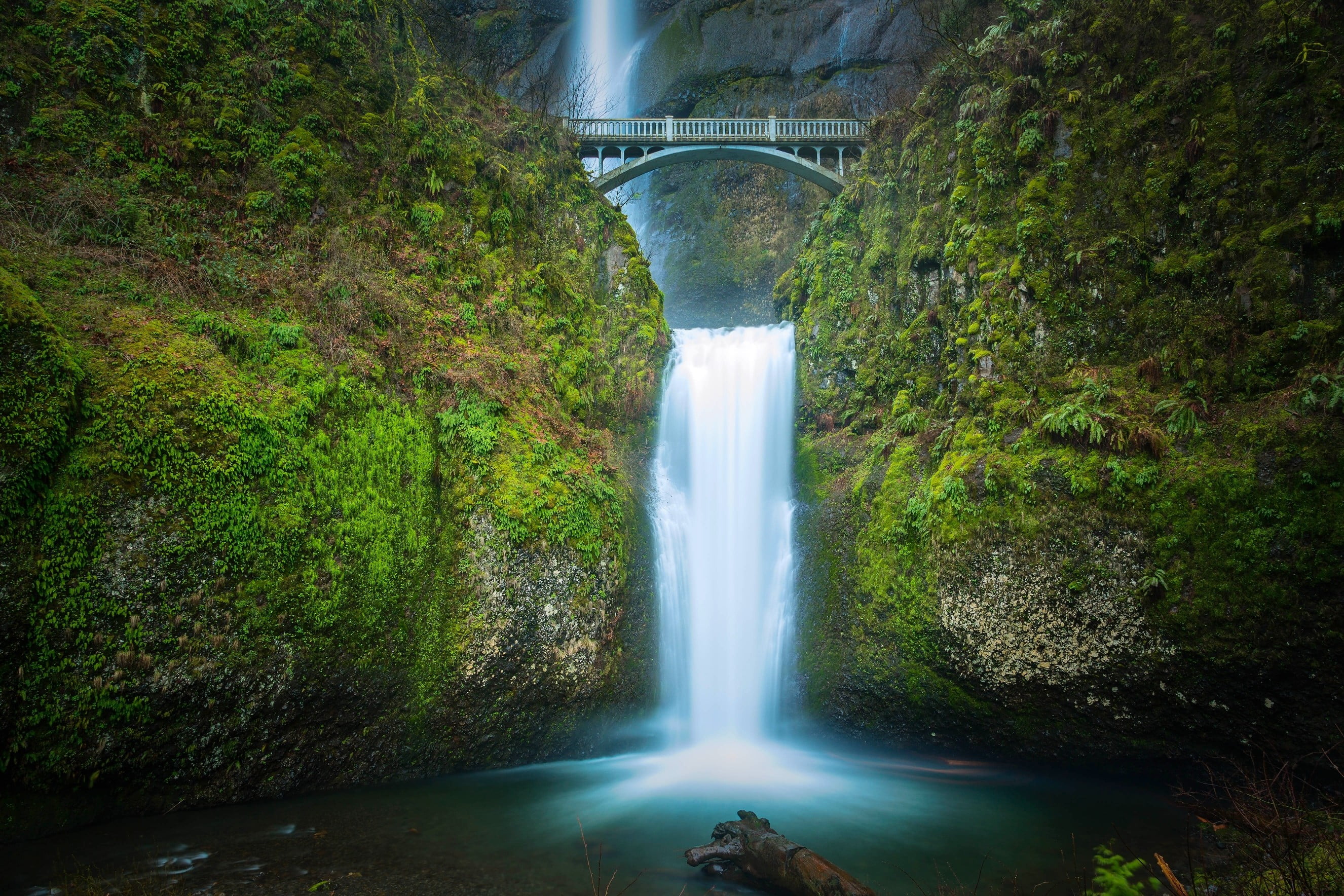 blurred motion, water, flowing water, tree, falling water, motion, 2K, Oregon, outdoors, flowing, waterfall, power in nature, lush foliage, forest, no people, HD Wallpaper