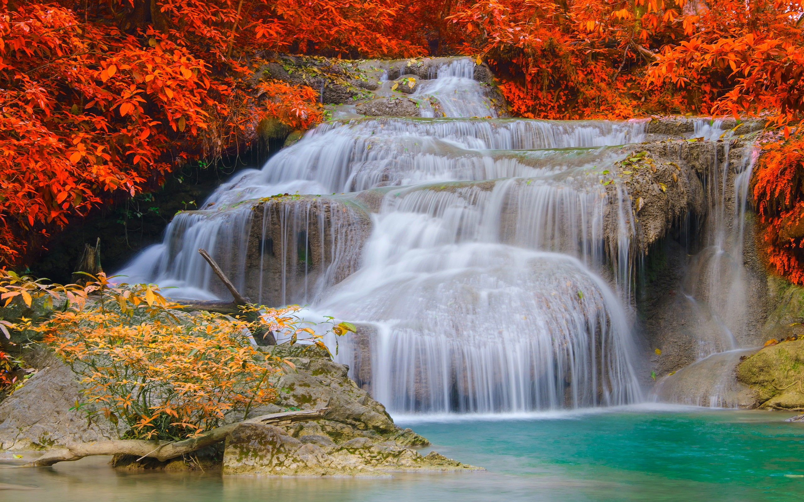 Leaves, 2K, Waterfalls, Autumn, Red, Trees, HD Wallpaper