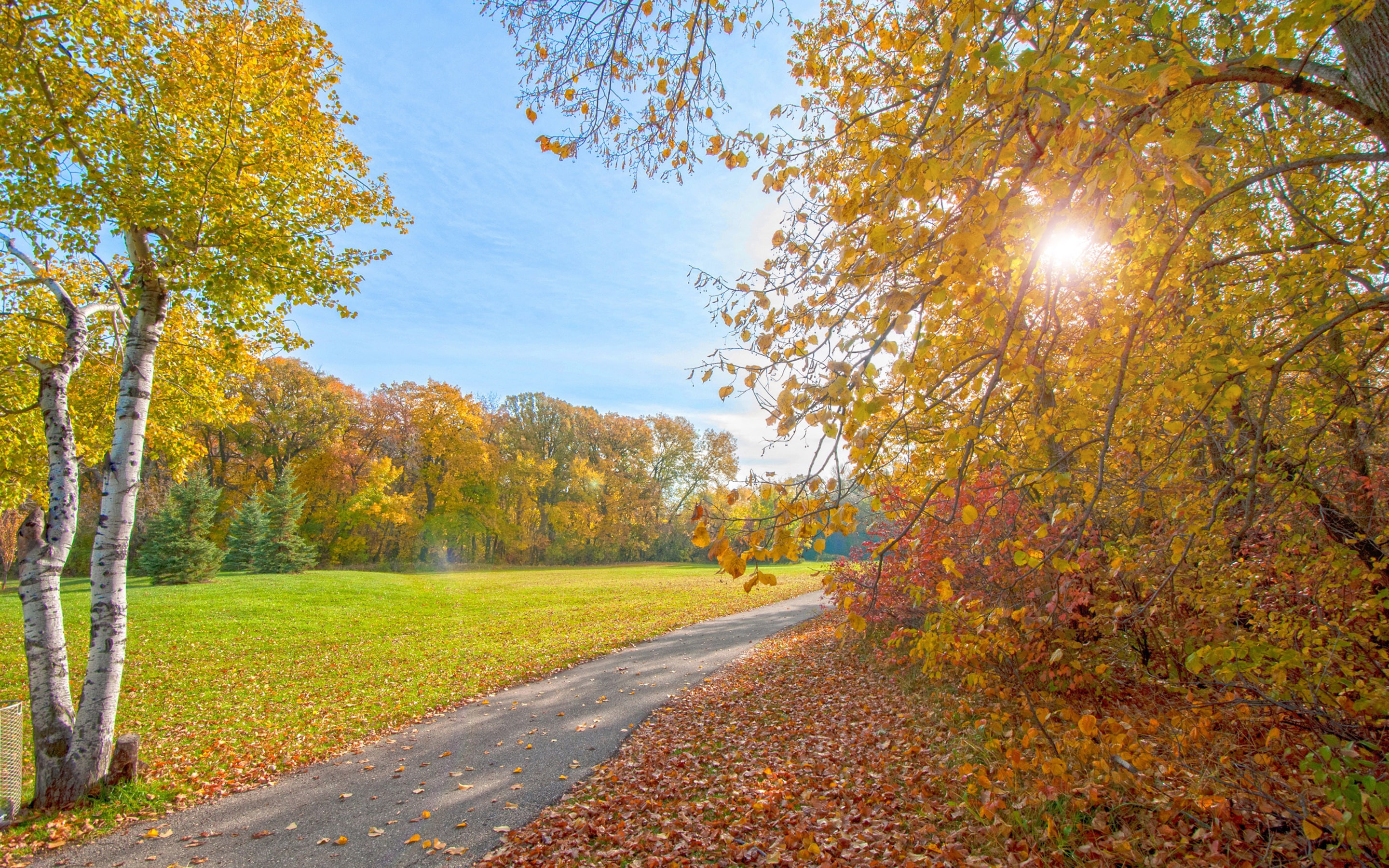 Path, Rays, Sun, Park, Autumn, Trees, 2K, HD Wallpaper