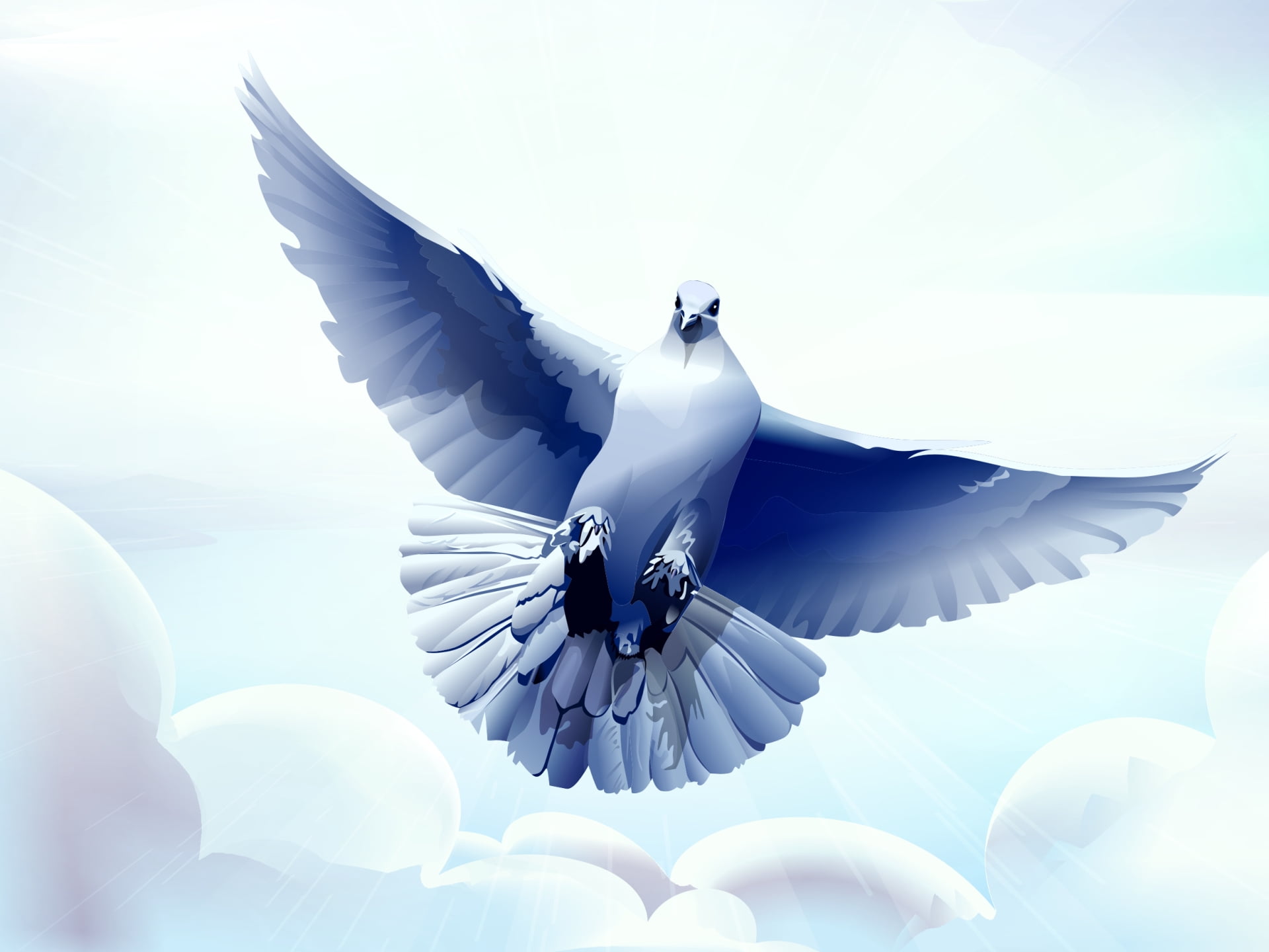 animal Wing, vulnerability, close-up, vector, no people, wildlife, blue, animals in the wild, nature, beak, day, white color, outdoors, symbol, dove - Bird, HD Wallpaper