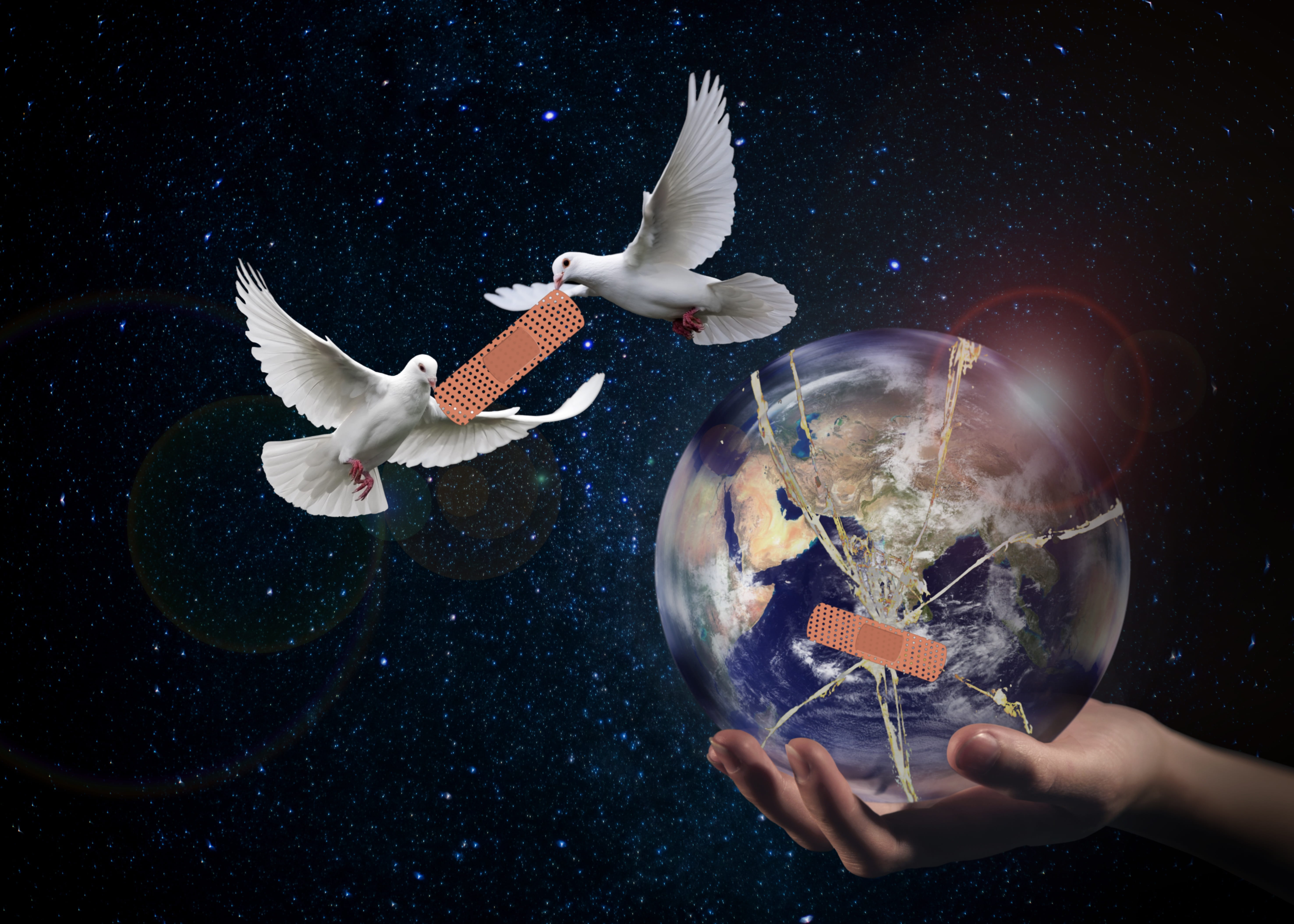vertebrate, astronomy, flying, forward, splitter, water, photomontage, keep, design, universe, patch, sea, holding, digital composite, marine, space, harmony, HD Wallpaper