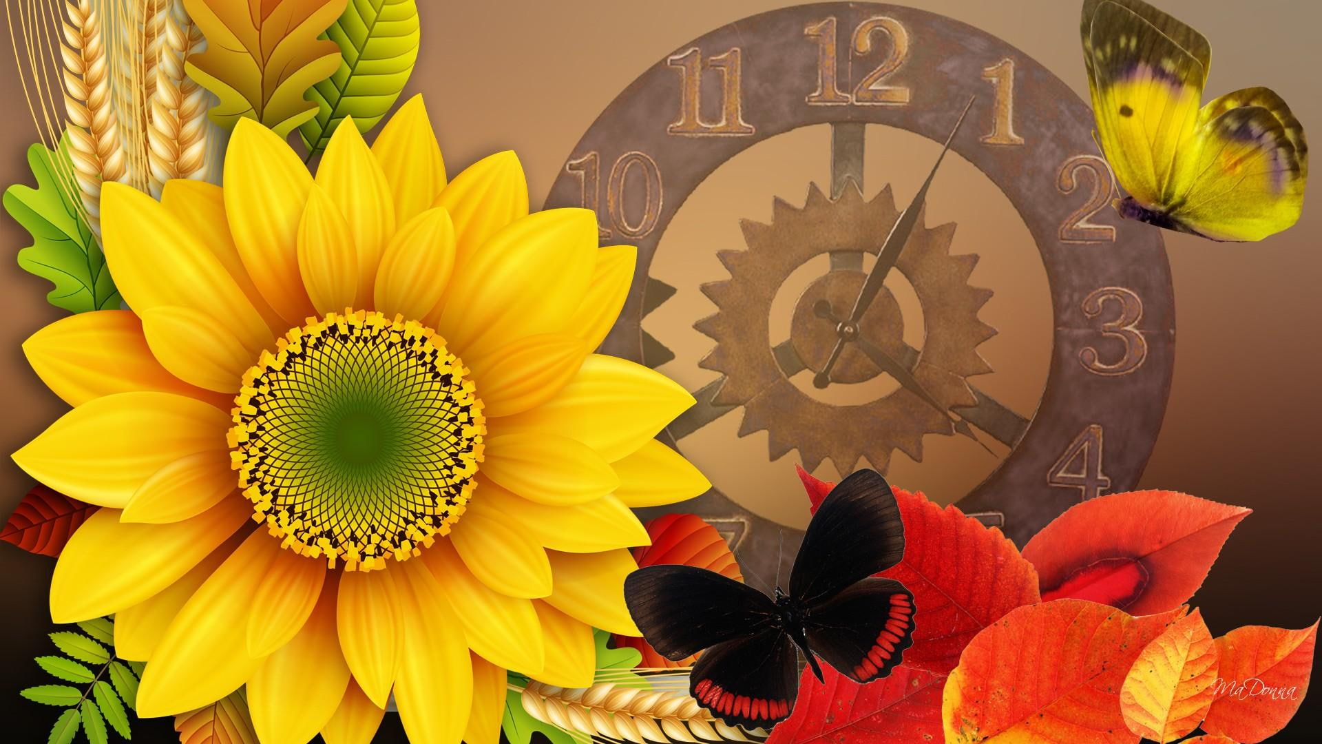 papillon, clock, fleur, sunflower, fleurs, fall, butterfly, 1080P, leaves, butterflies, time, autum, flower, HD Wallpaper