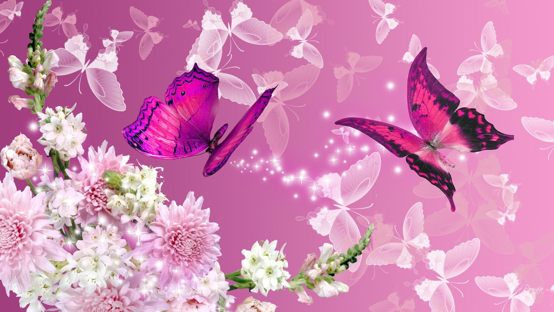 summer, flowers, blossoms, purple, blooms, snap dragons, pink, spri, fleurs, 1080P, butterflies, papillon, story, bright, carnations, butterfly, HD Wallpaper