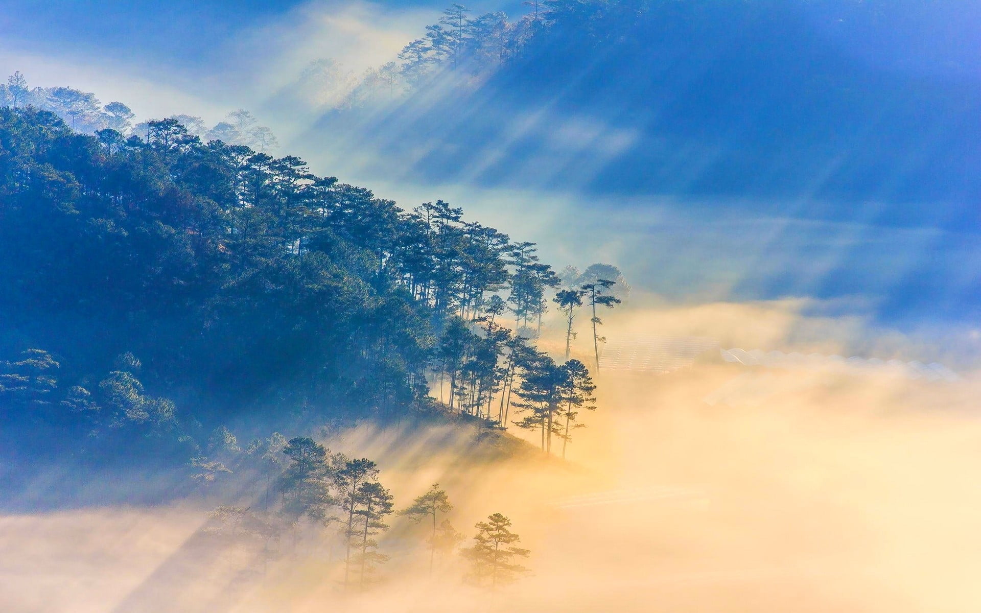 sunbeam, tree, sun rays, blue, sea, bright, nature, 1080P, tranquil scene, tranquility, outdoors, beauty in nature, photo, no people, environment, Vietnam, HD Wallpaper