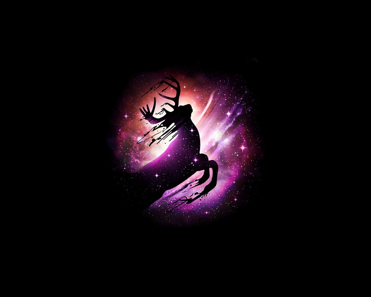 nature, illuminated, invertebrate, dark, rein, stars, studio shot, animals, one animal, pink color, copy space, indoors, creativity, animal wildlife, purple, HD Wallpaper