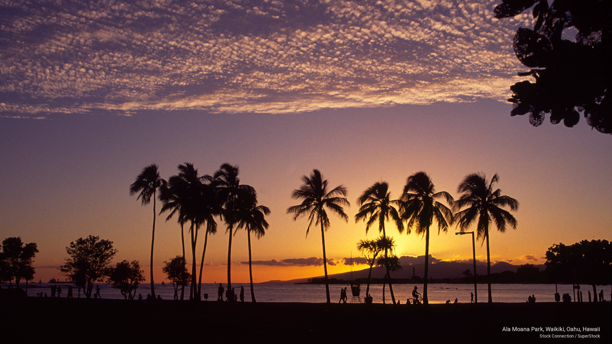 moana, ala, Islands, hawaii, waikiki, park, oahu, 2K, HD Wallpaper
