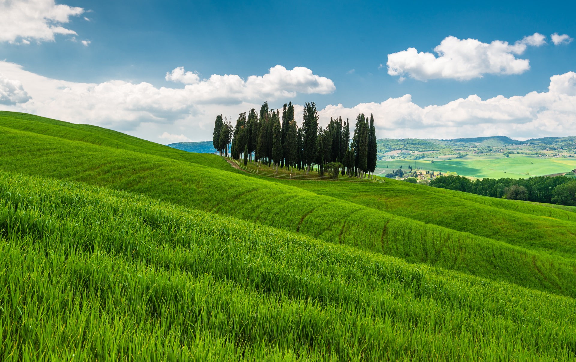 trees, Tuscany, grass, mountains, Italy, hills, 1080P, HD Wallpaper
