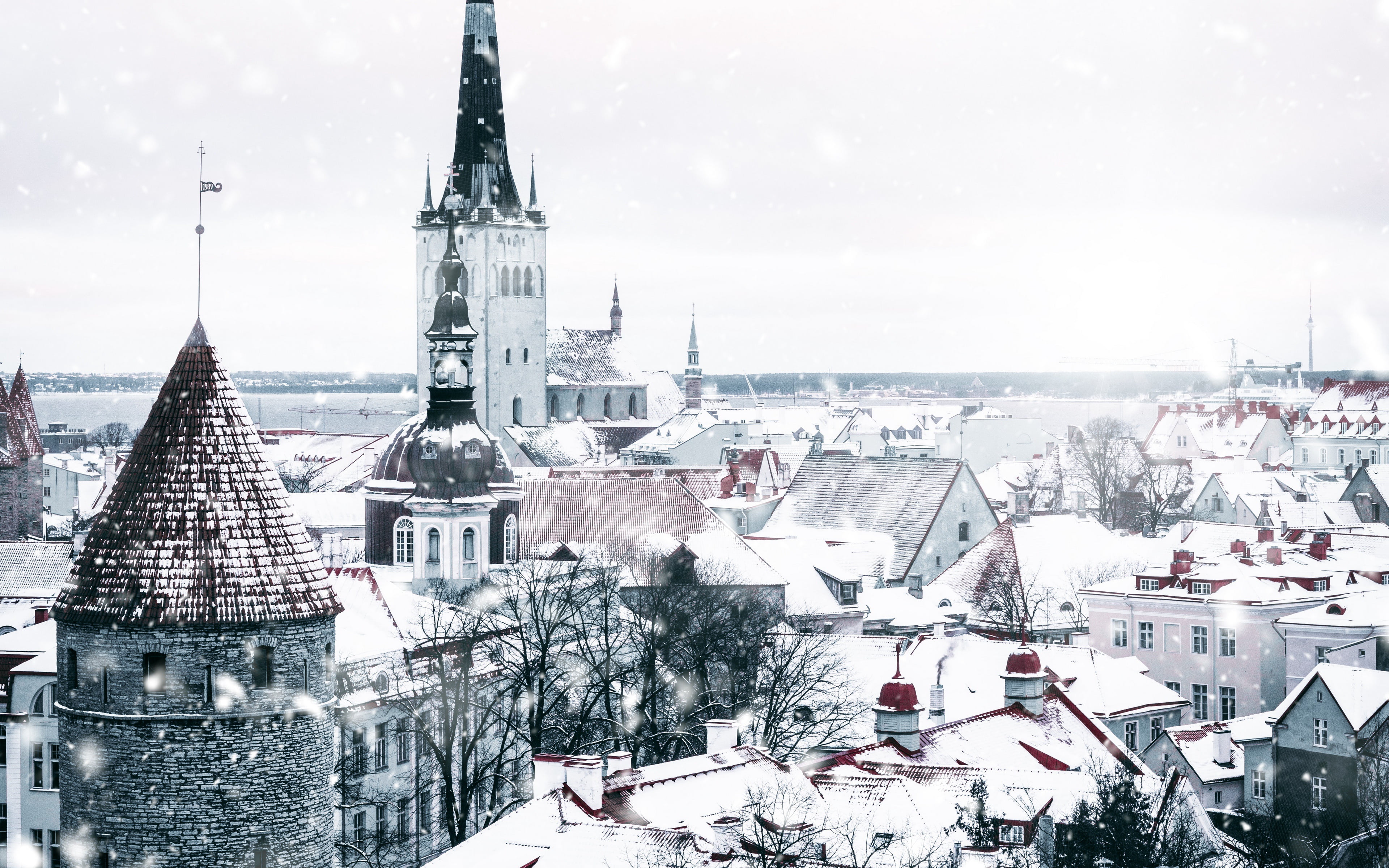 architecture, Tallinn, white, winter, landmark, snowfall, 4K, 4k ultra hd background, Estonia, city, snow, HD Wallpaper