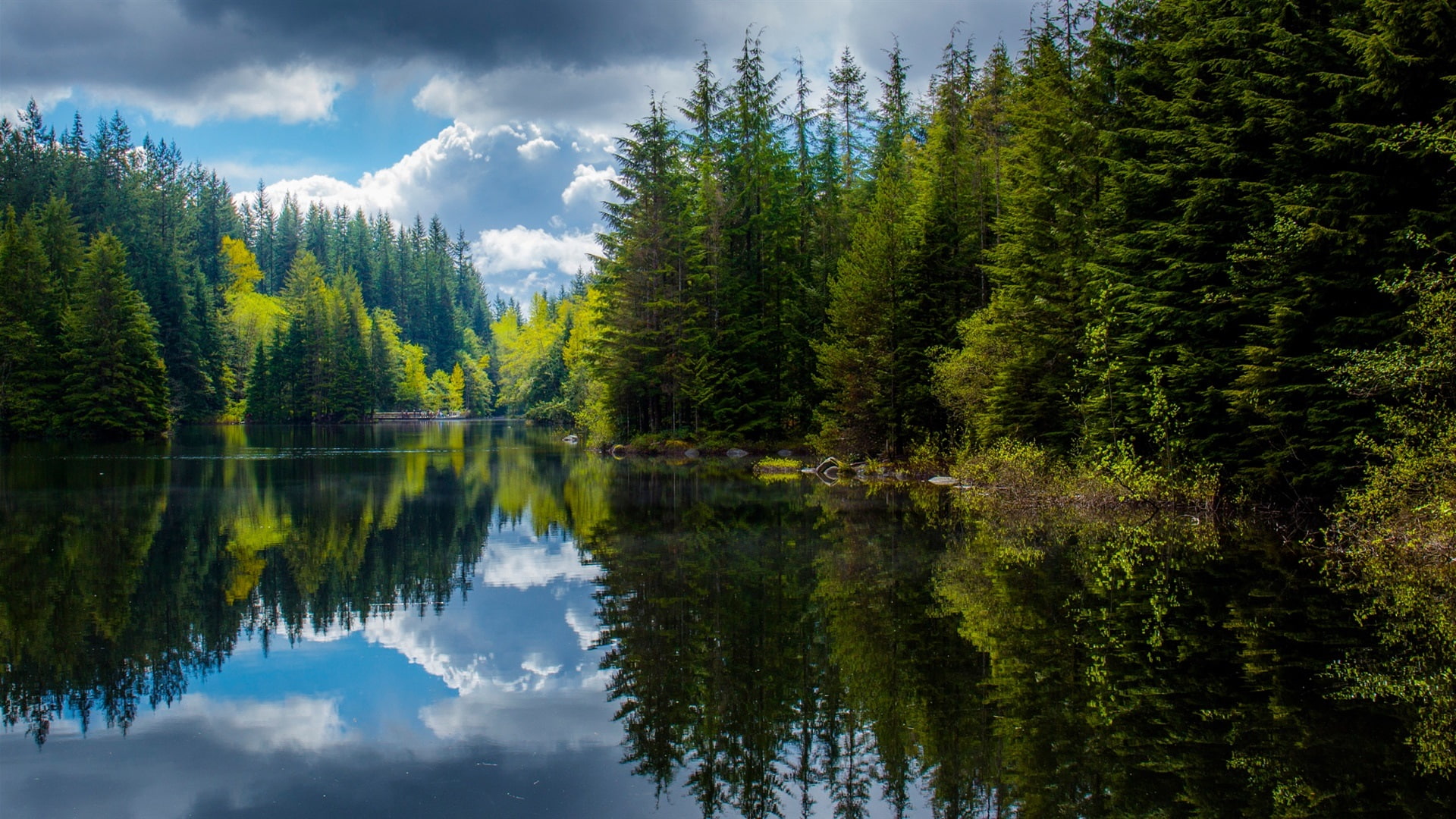 Lake, Columbia, Trees, Canada, Reflection, British, Spring, 1080P, HD Wallpaper