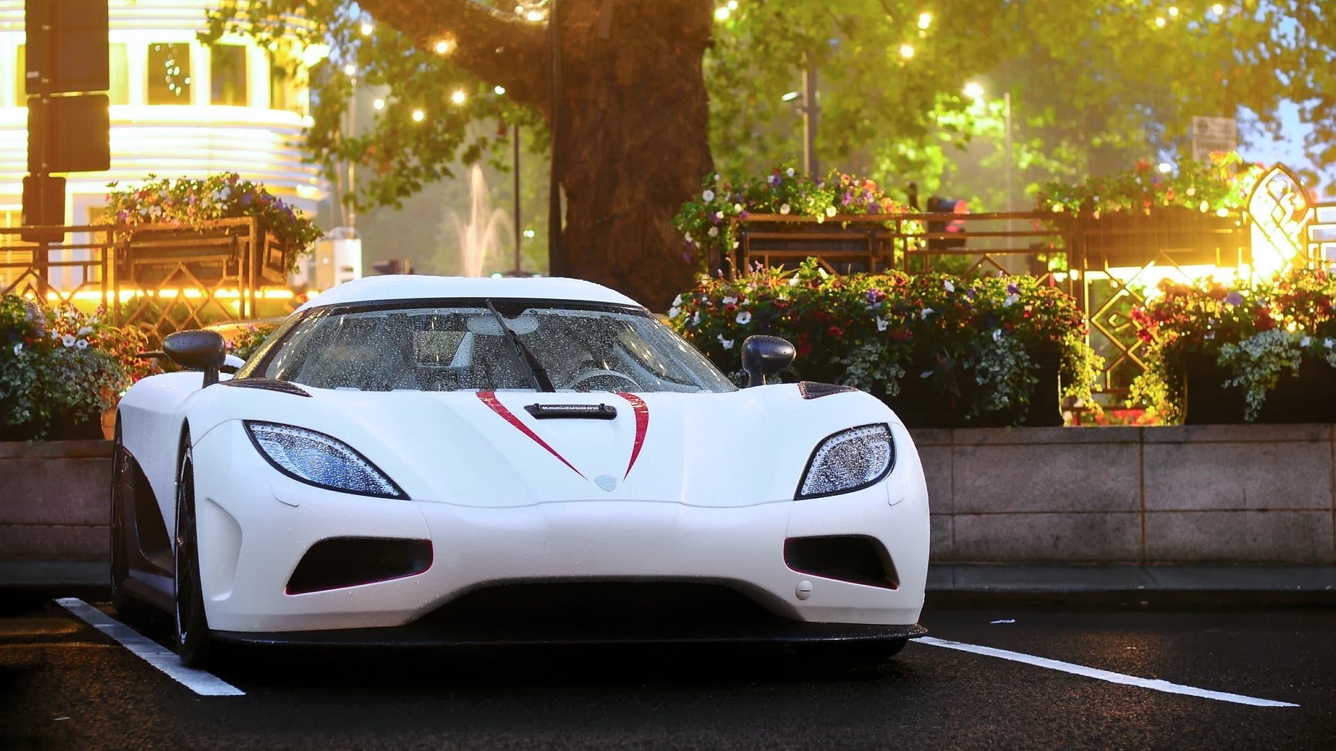 architecture, mode of transportation, 1080P, city, no people, white, trees, outdoors, car, road, Sun, motor vehicle, bed, white cars, night, wealth, nature, HD Wallpaper
