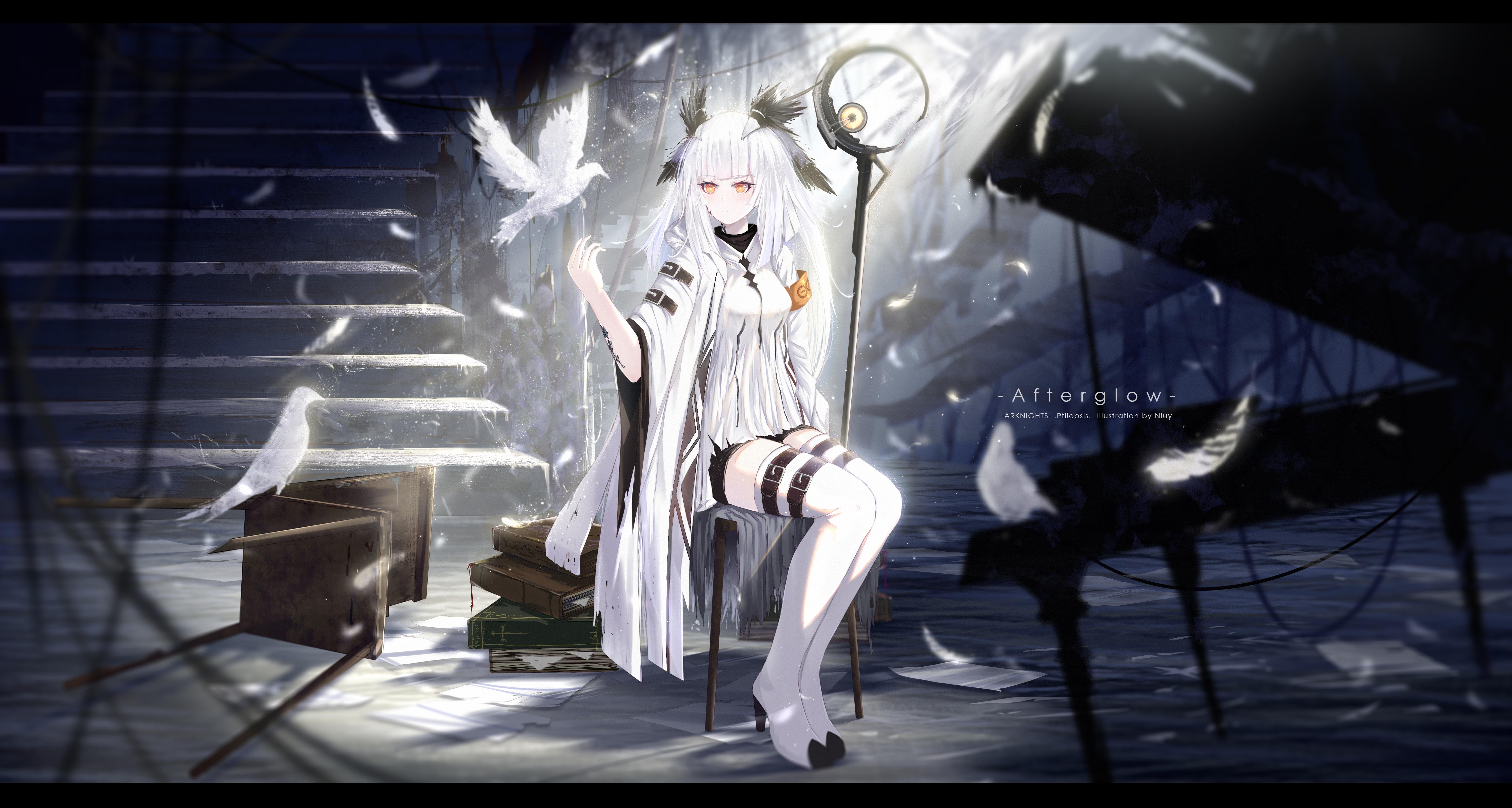 Niuy, 5K, Ptilopsis(Arknights), anime, anime girls, Arknights, HD Wallpaper