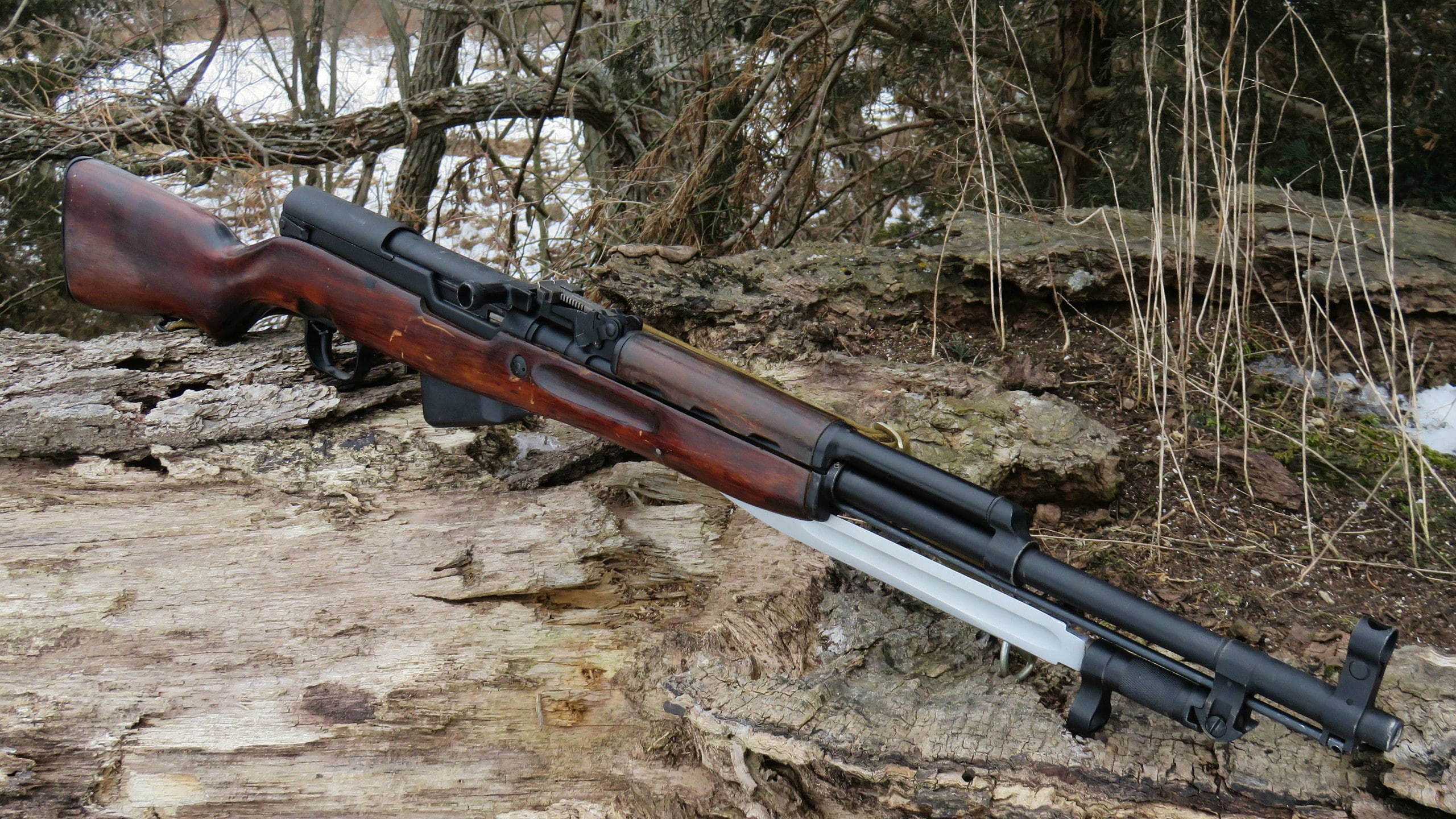 bare tree, wood - material, tree trunk, tranquility, beauty in nature, plant, forest, gun, land, SKS, metal, sunlight, outdoors, rifle, nature, field, tree, HD Wallpaper