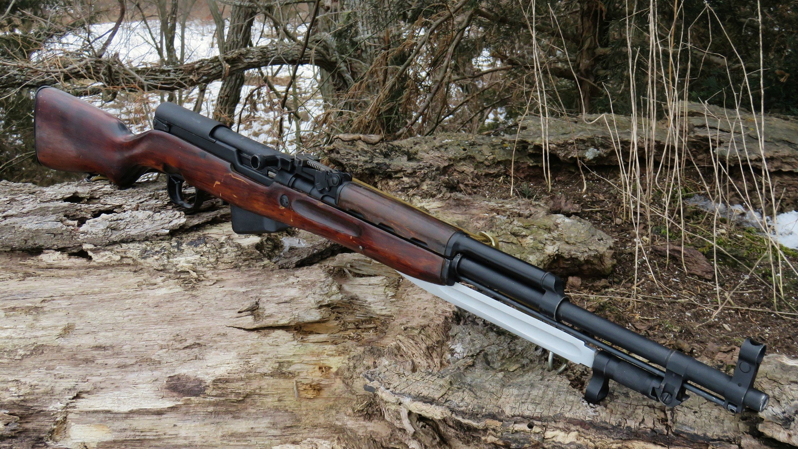 branch, x, hd, SKS, Bayonet, people, 2560x1440 px, art, Gun, 2K, alyssa, px, HD Wallpaper
