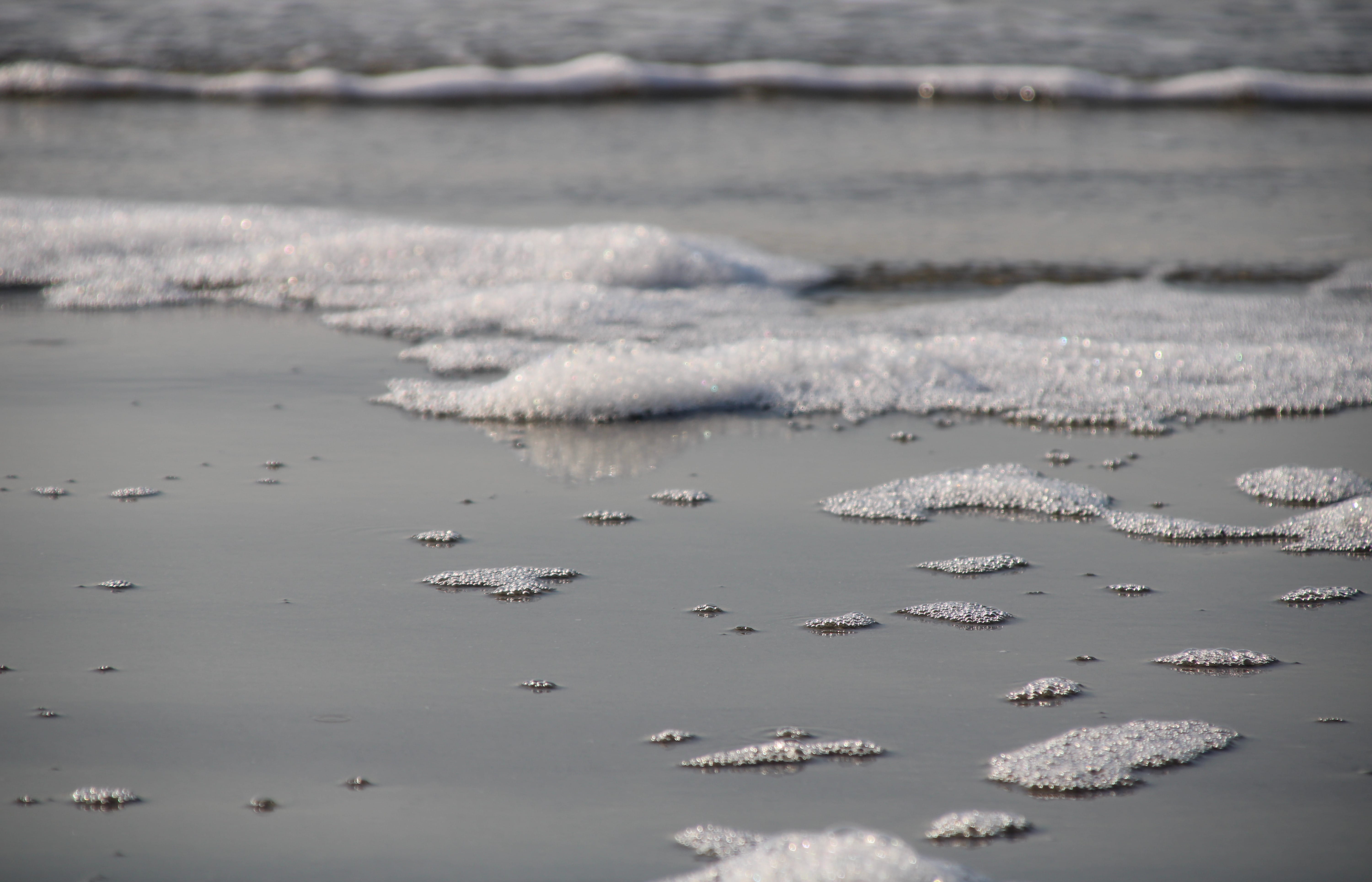foamy water, sand, no people, scenics - nature, foam, day, bird, ice, land, coast, seashell, wafe, animal wildlife, nature, tranquility, sea, sport, beach, HD Wallpaper