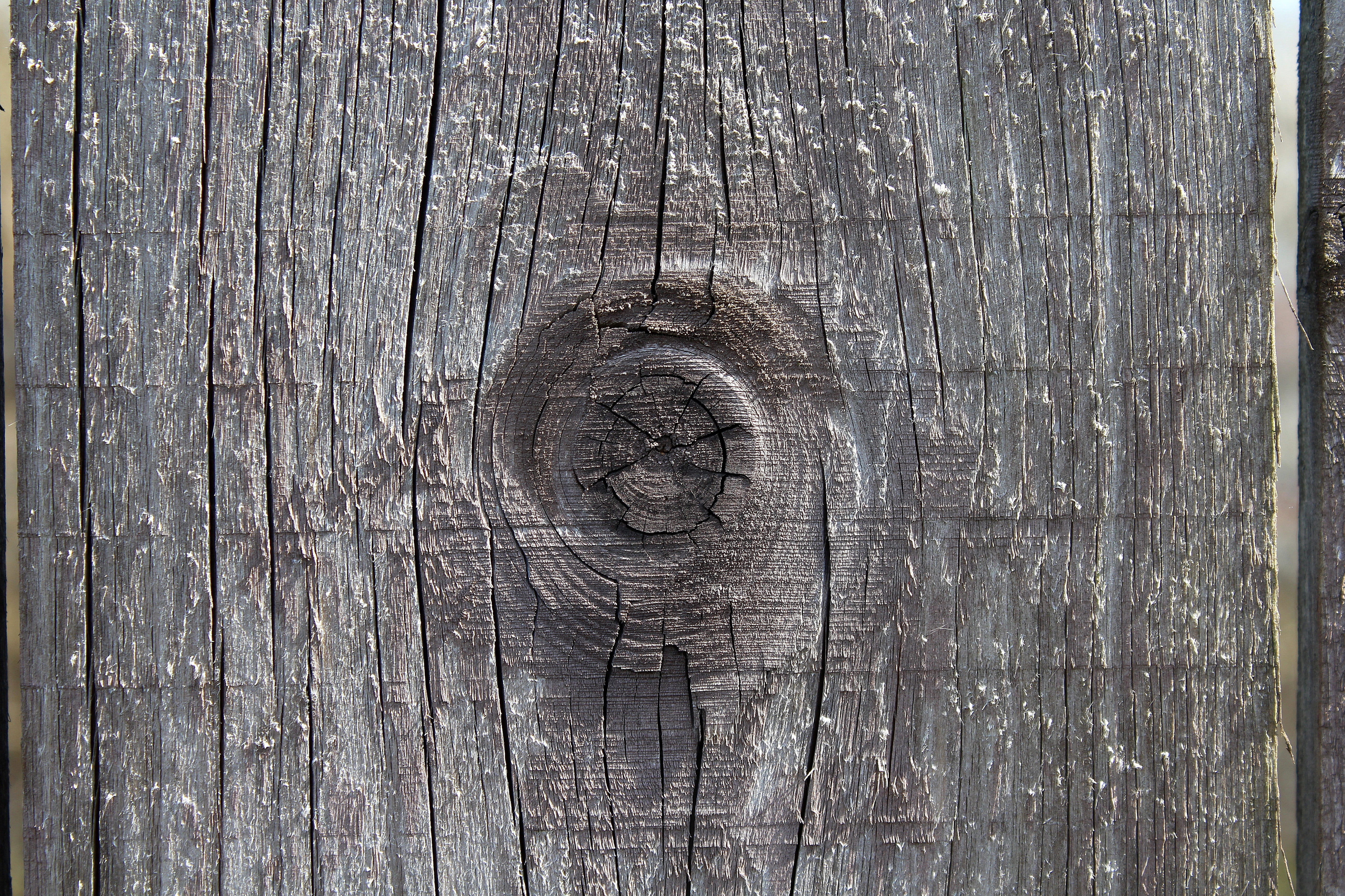 close-up, 5K, door, wood - material, weathered, wooden, textured, plank, board, model, no people, pattern, full frame, day, textured effect, rough, brown, HD Wallpaper