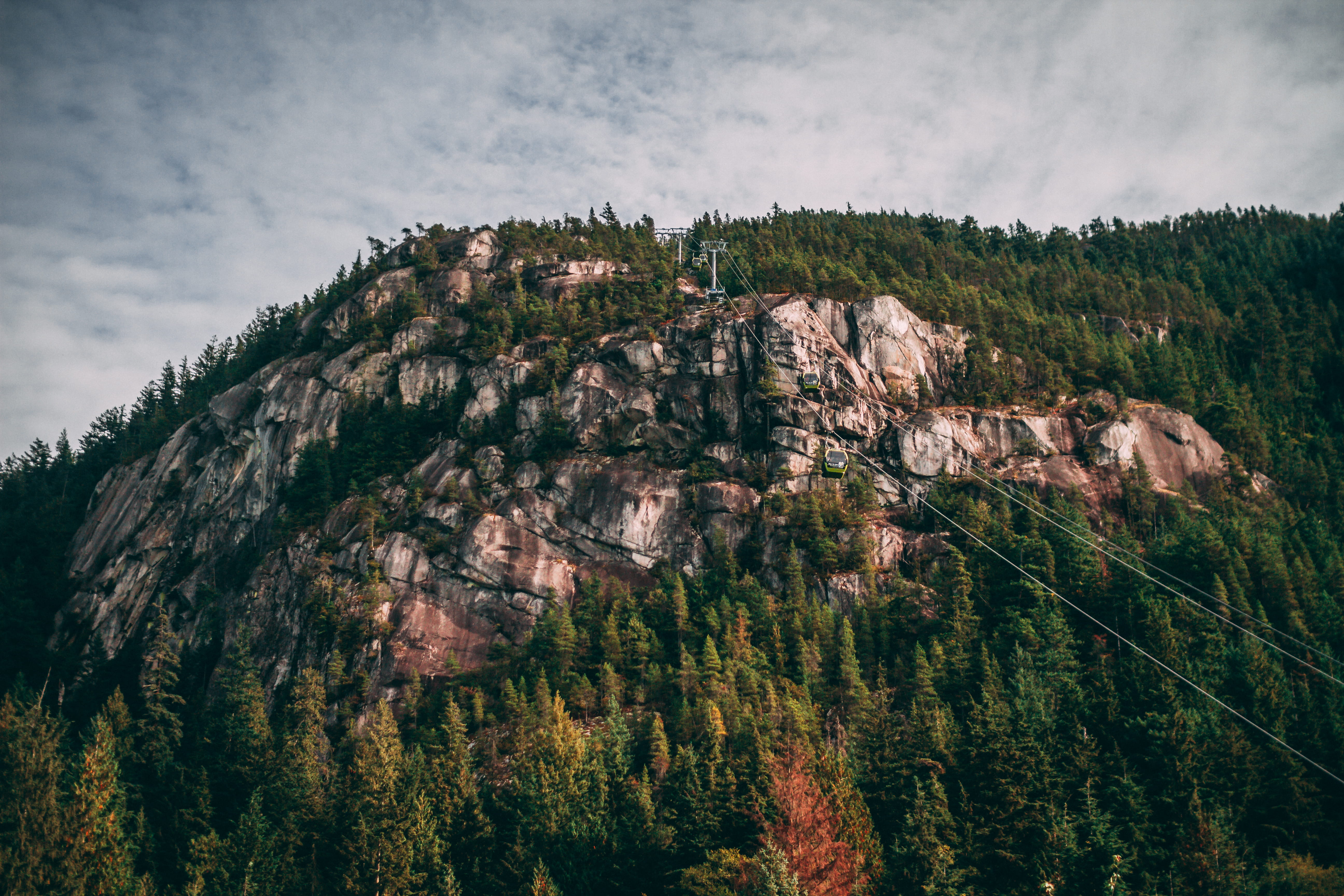 evergreen, sky, tranquil scene, scenic, pine woodland, cloud - sky, land, solid, tree, high, beauty in nature, cable cars, daylight, outdoors, nature, tranquility, HD Wallpaper
