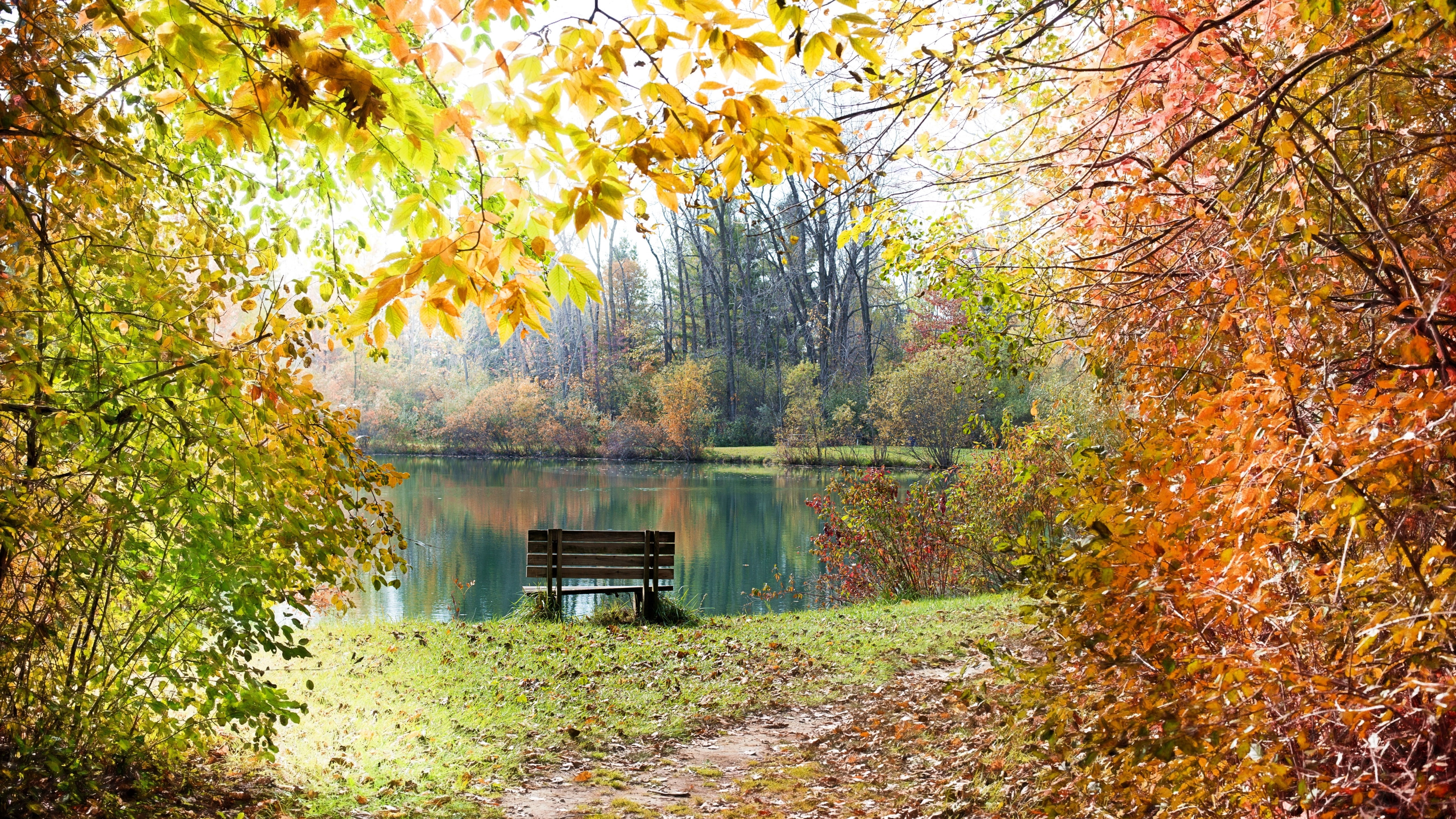 branches, bench, foliage, lake, 5K, autumn, trail, autumn colors, pond, path, lakeside, autumn landscape, HD Wallpaper